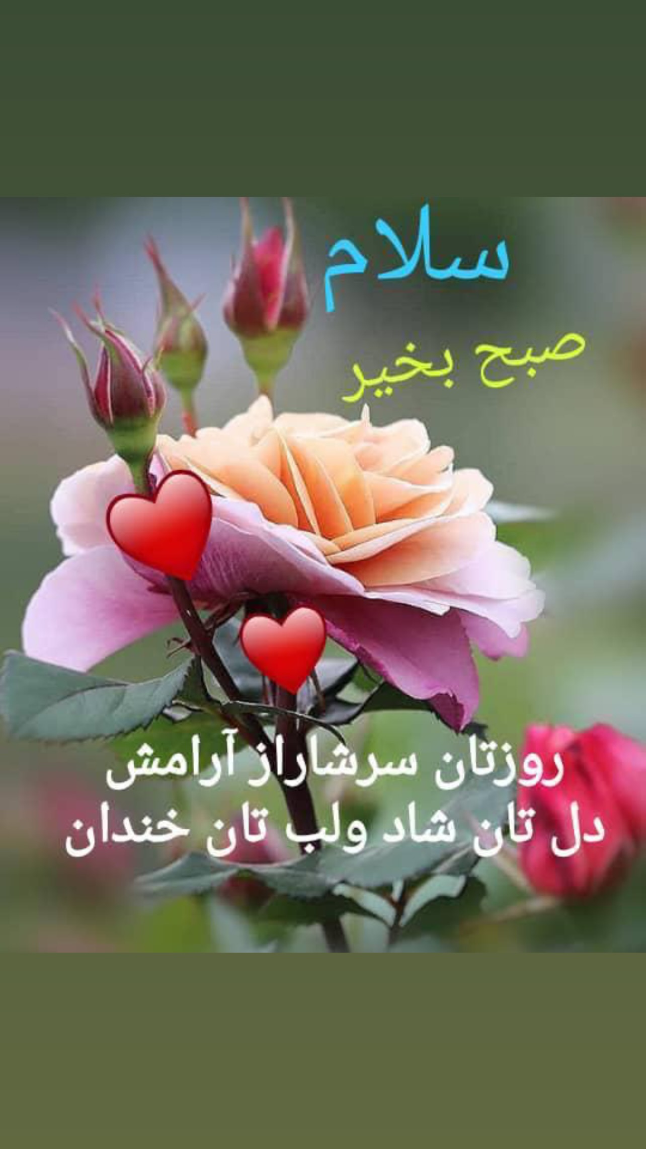  جدید ترین استوری اینستاگرام ماکان شفیعی