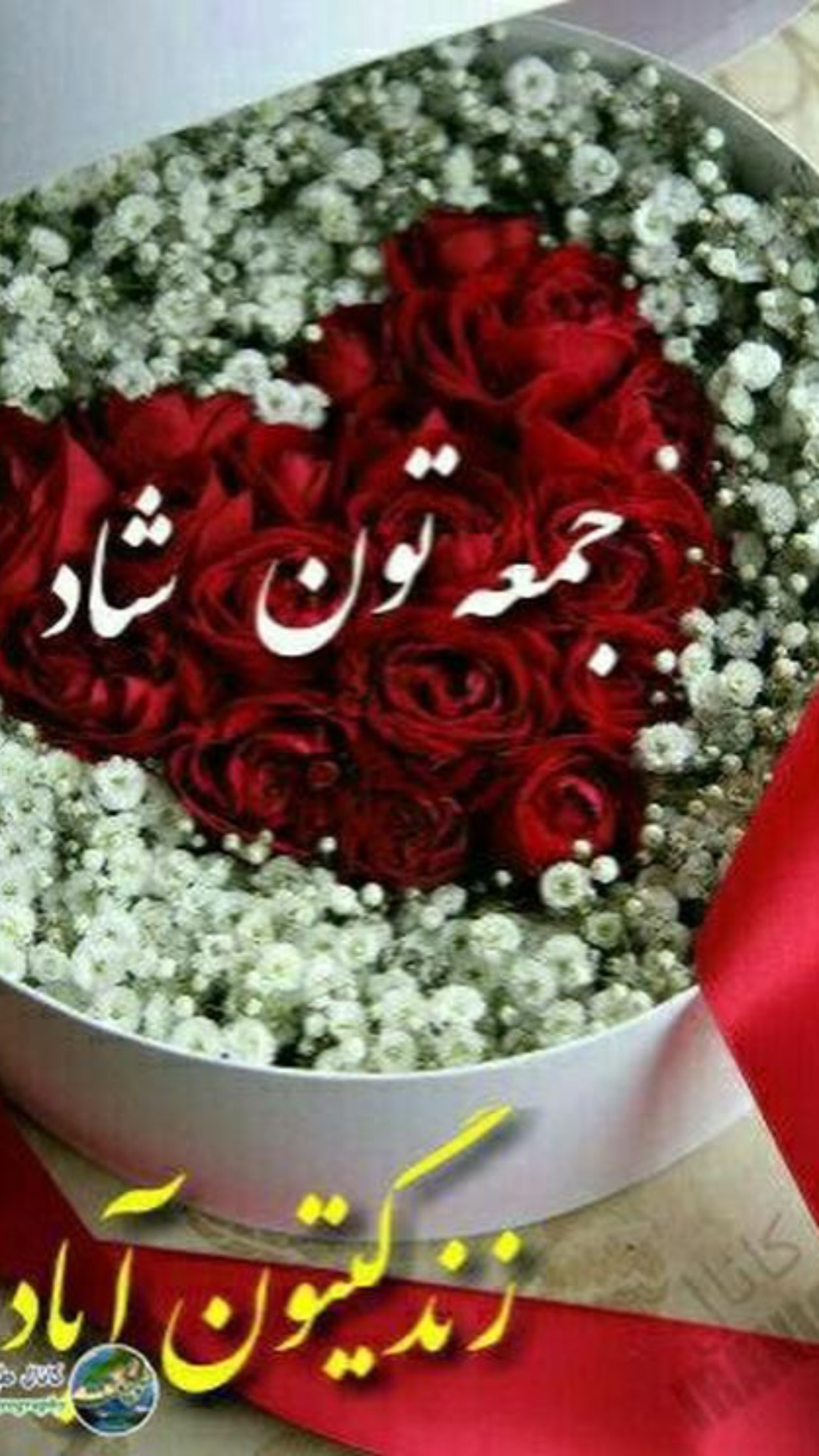 جدید ترین استوری اینستاگرام ماکان شفیعی