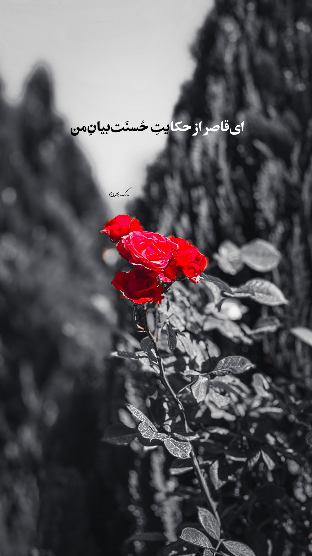  جدید ترین استوری اینستاگرام مالک مجنون