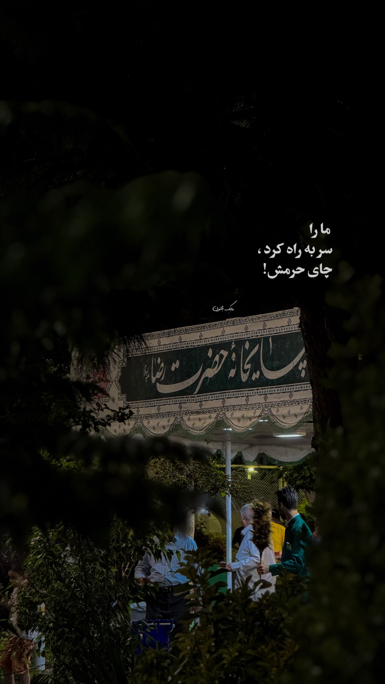  جدید ترین استوری اینستاگرام مالک مجنون