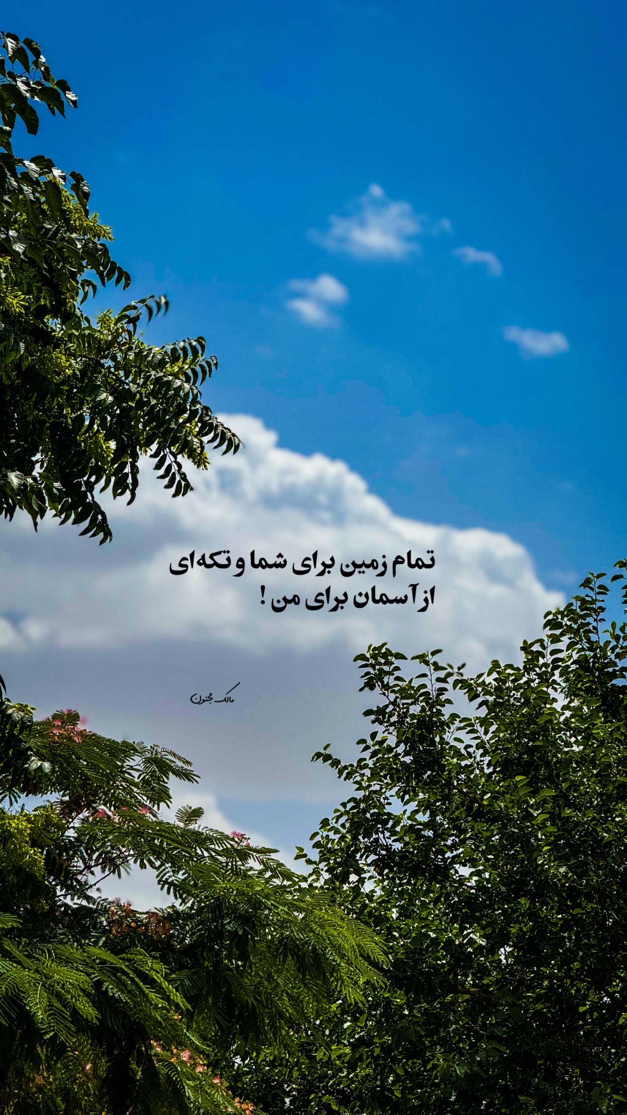  جدید ترین استوری اینستاگرام مالک مجنون