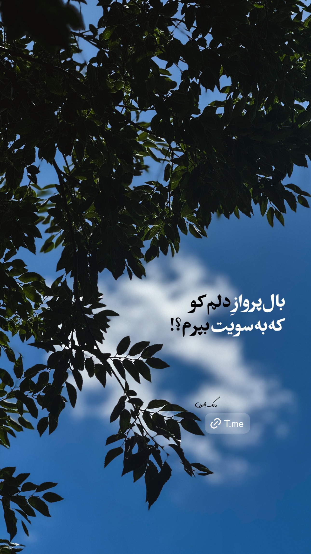  جدید ترین استوری اینستاگرام مالک مجنون