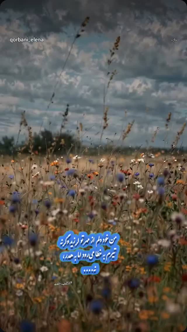  جدید ترین استوری اینستاگرام ملیحه یوسفی