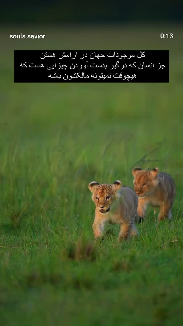  جدید ترین استوری اینستاگرام ملیحه یوسفی