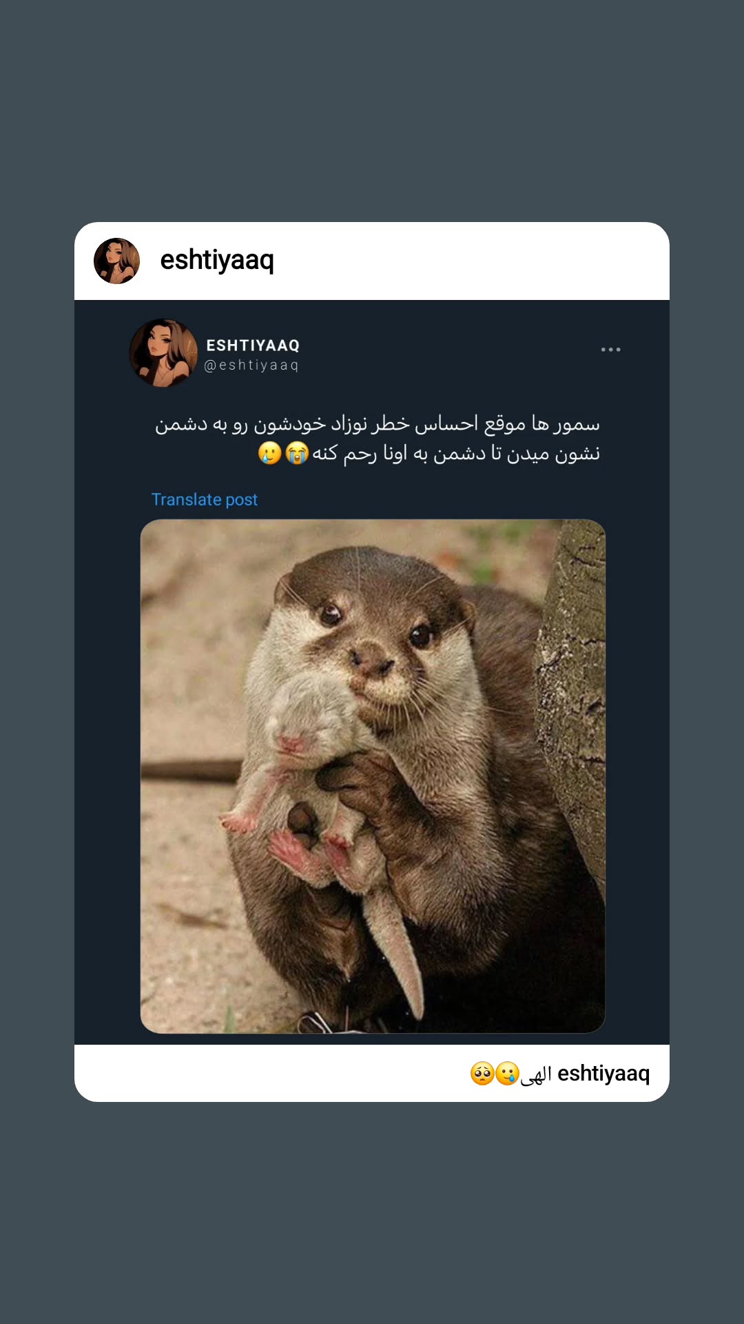  جدید ترین استوری اینستاگرام ملیحه یوسفی