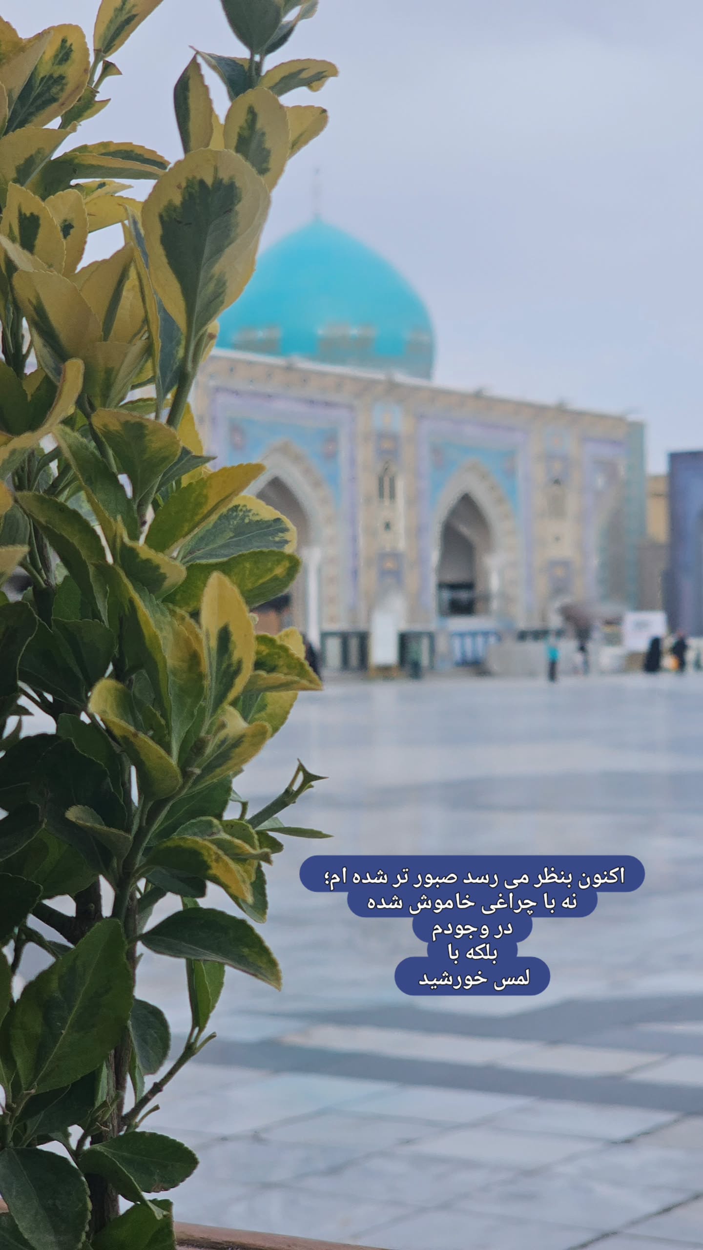  جدید ترین استوری اینستاگرام ملیحه یوسفی