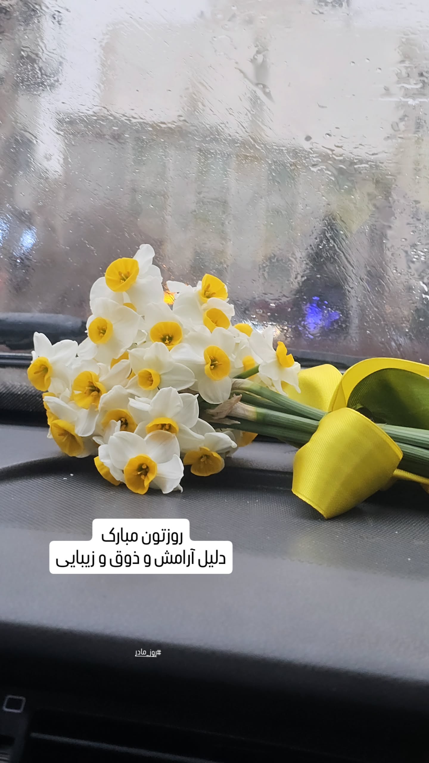  جدید ترین استوری اینستاگرام ملیحه یوسفی