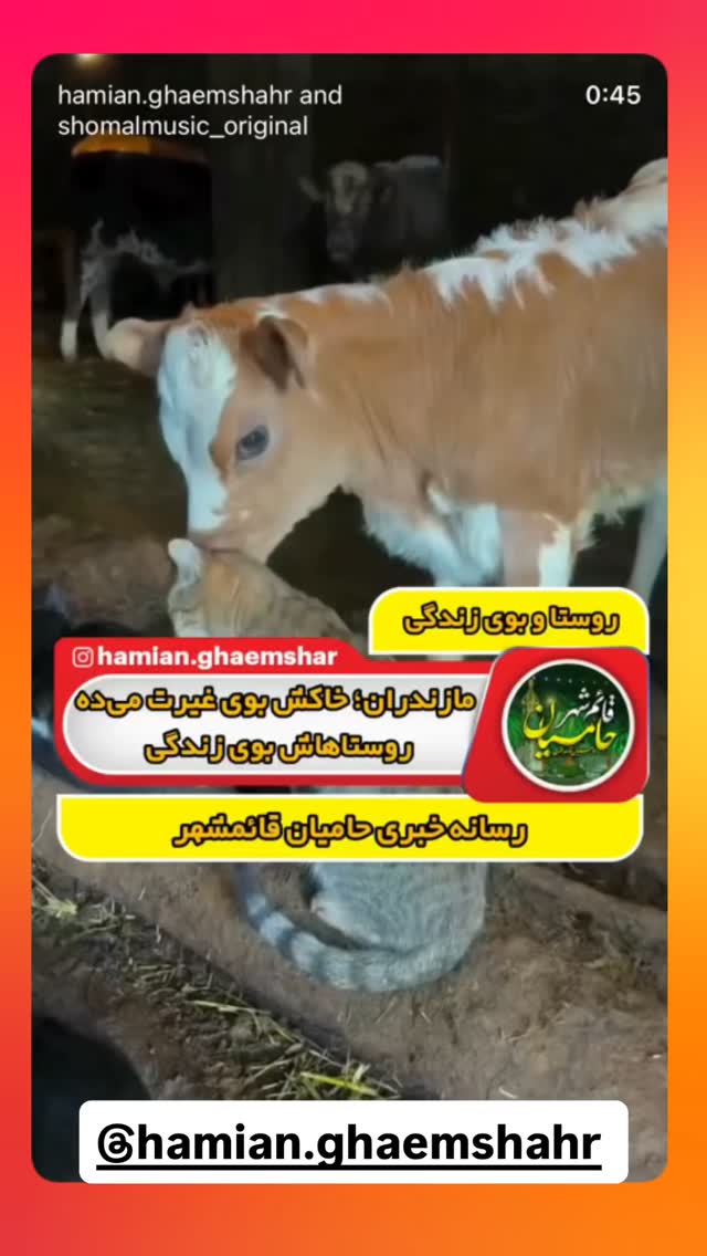  جدید ترین استوری اینستاگرام محمد اندی