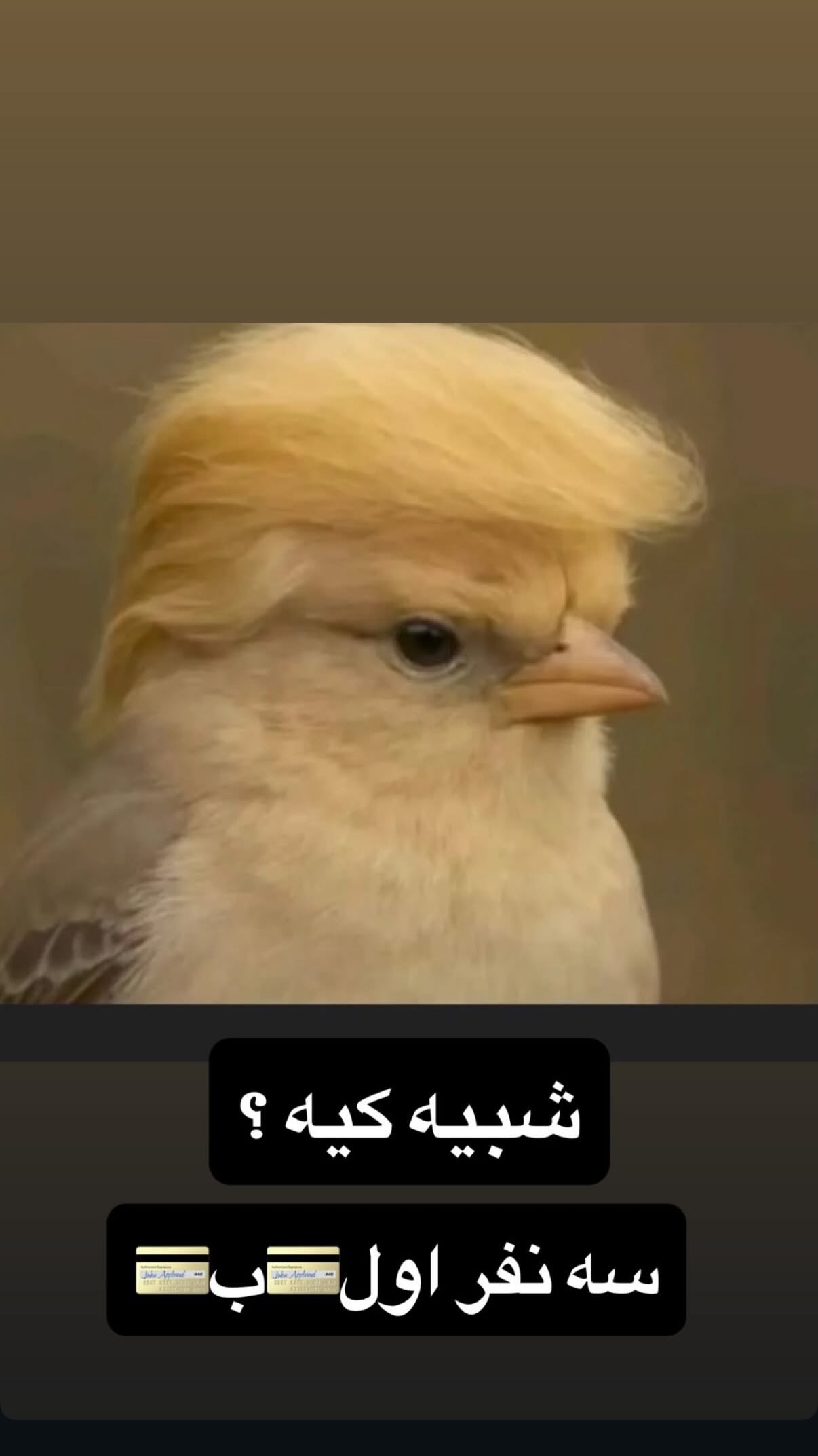  جدید ترین استوری اینستاگرام محمد ایرانی