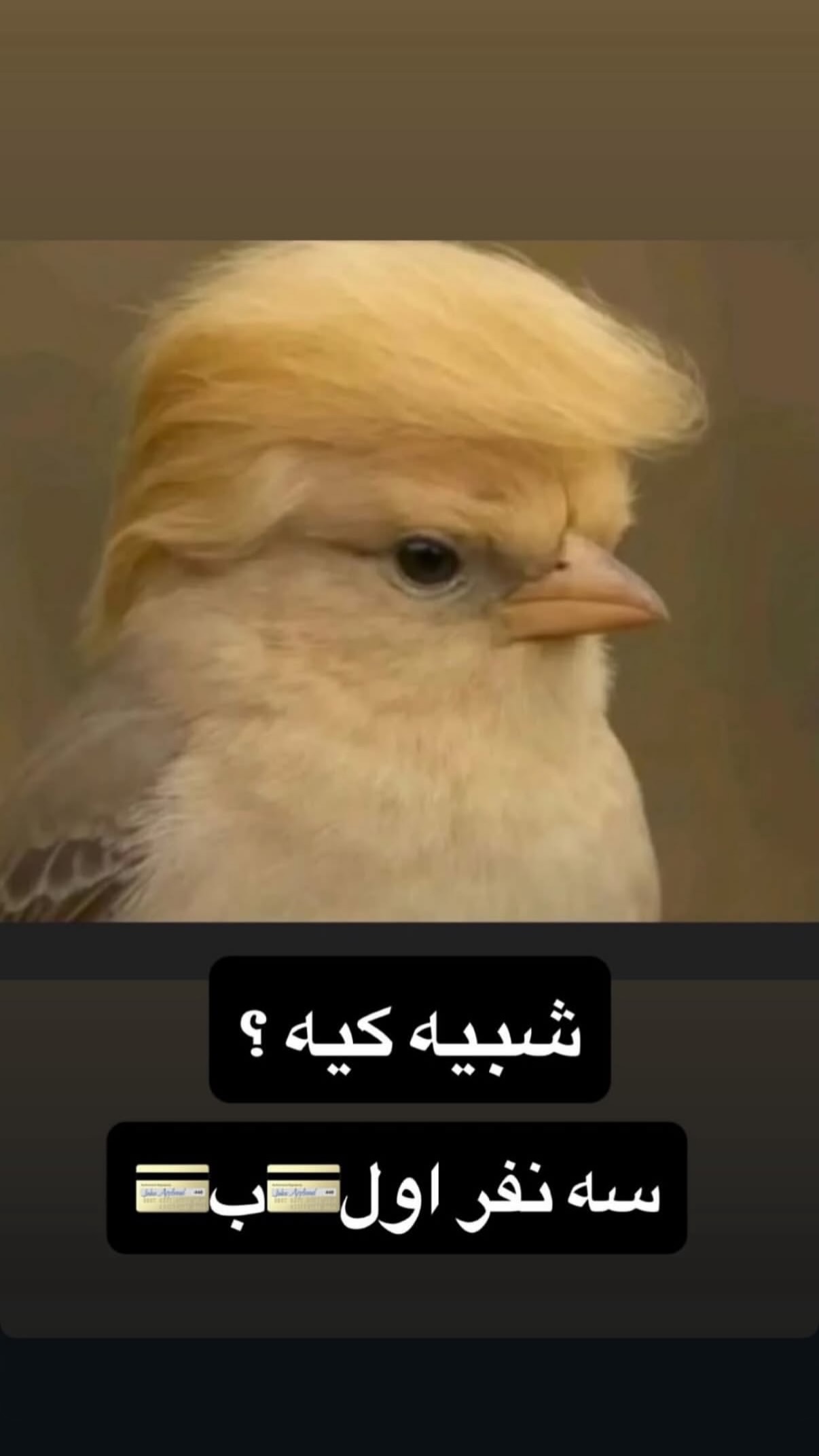  جدید ترین استوری اینستاگرام محمد ایرانی
