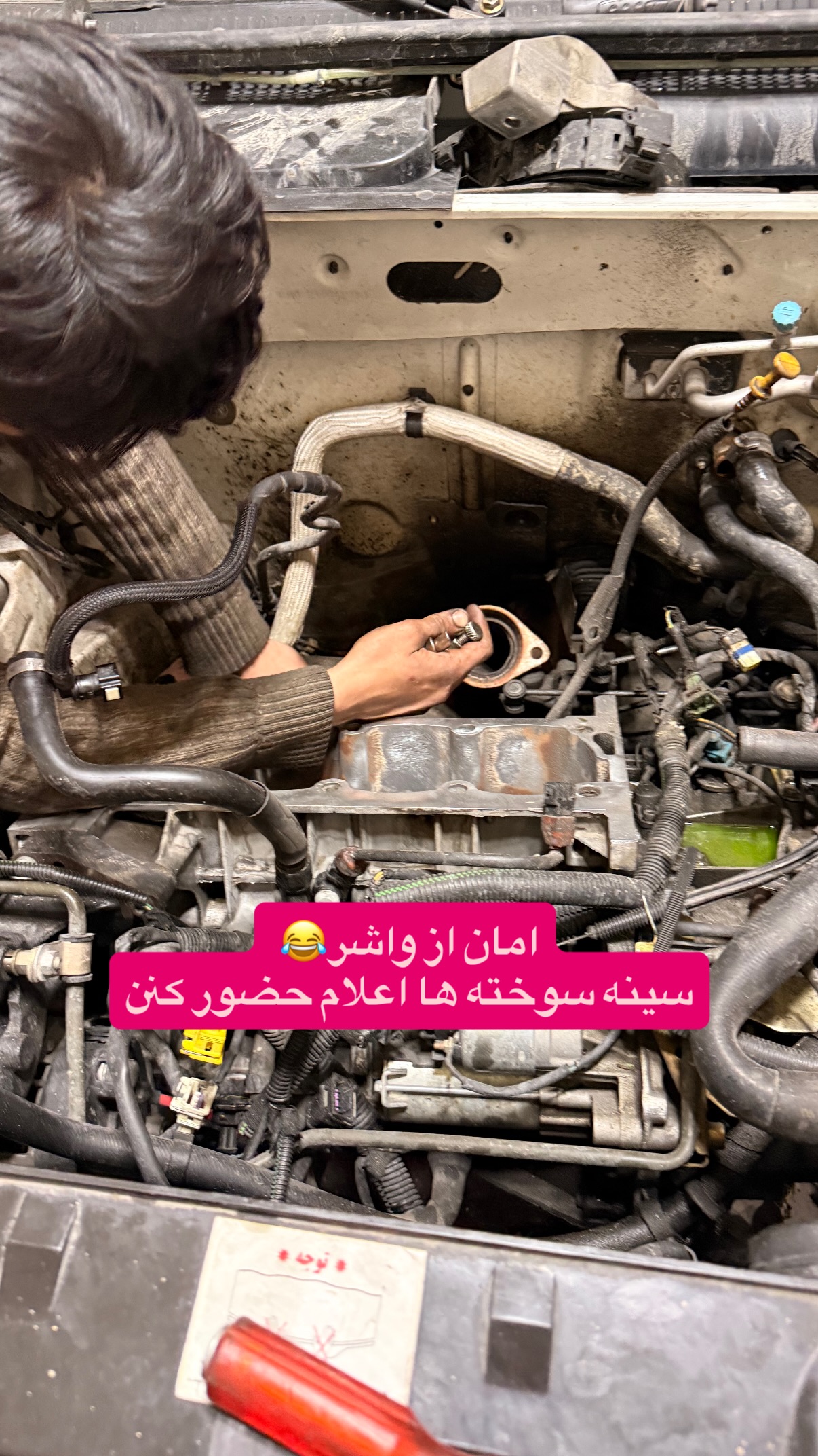  جدید ترین استوری اینستاگرام محمد ایرانی