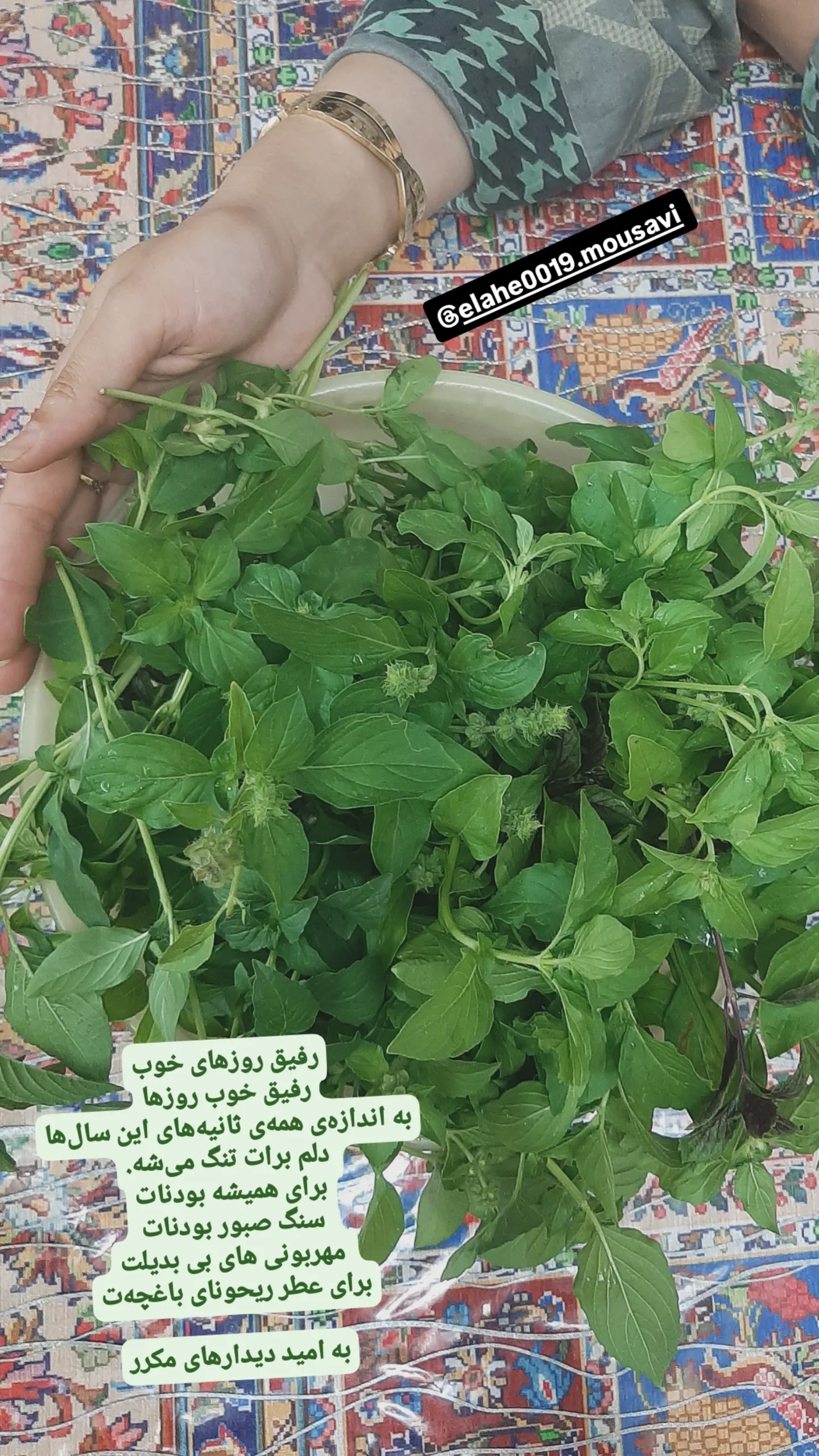  جدید ترین استوری اینستاگرام منصوره خراسانی