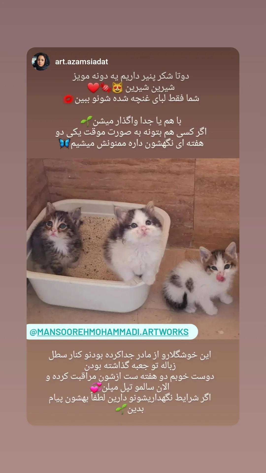  جدید ترین استوری اینستاگرام منصوره سادات محمدی