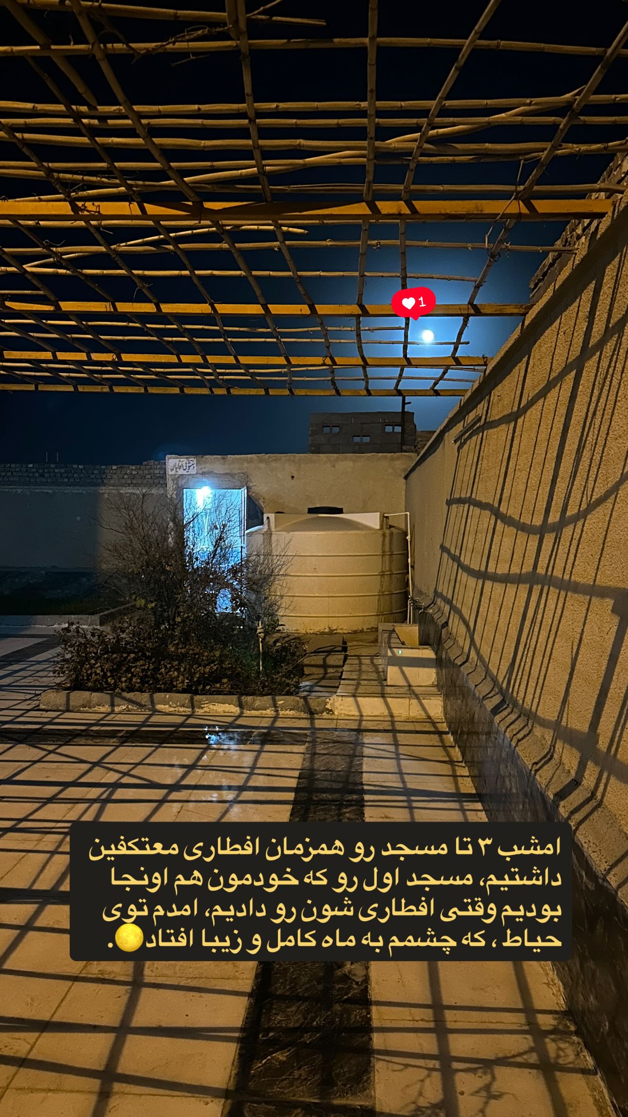  جدید ترین استوری اینستاگرام منصوره معتمدی