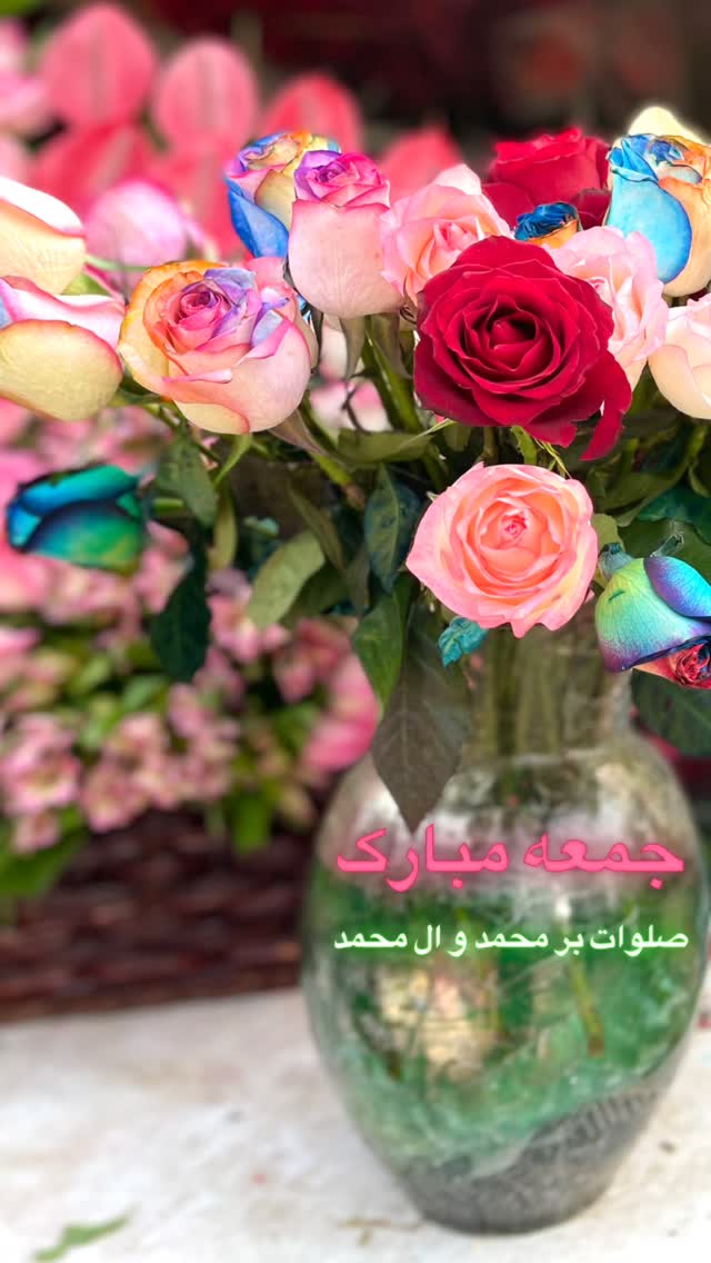  جدید ترین استوری اینستاگرام منصوره معتمدی