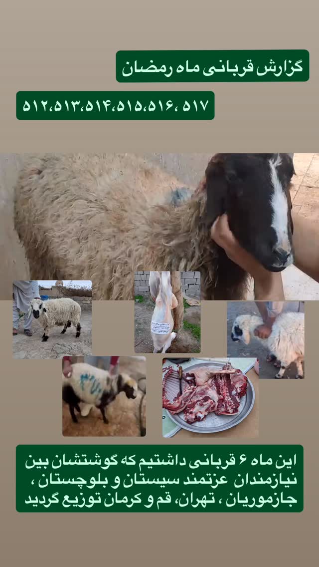  جدید ترین استوری اینستاگرام منصوره معتمدی