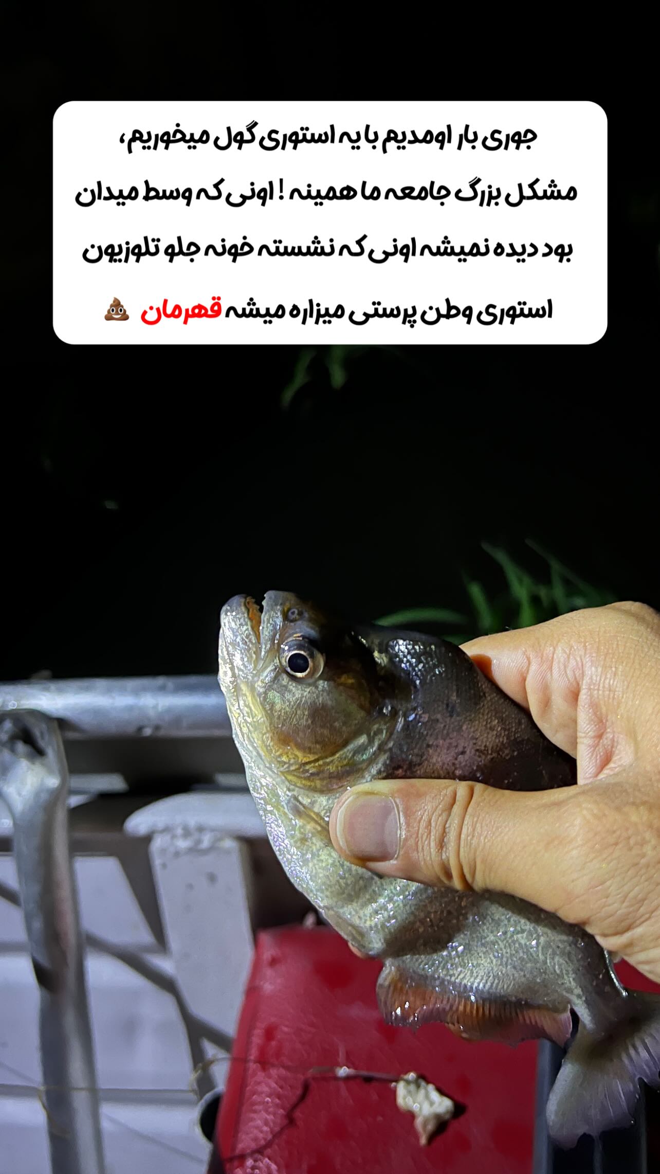  جدید ترین استوری اینستاگرام منصور جلالی