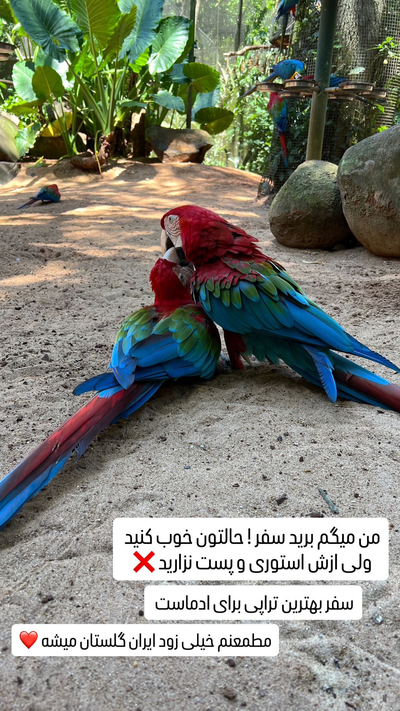 جدید ترین استوری اینستاگرام منصور جلالی