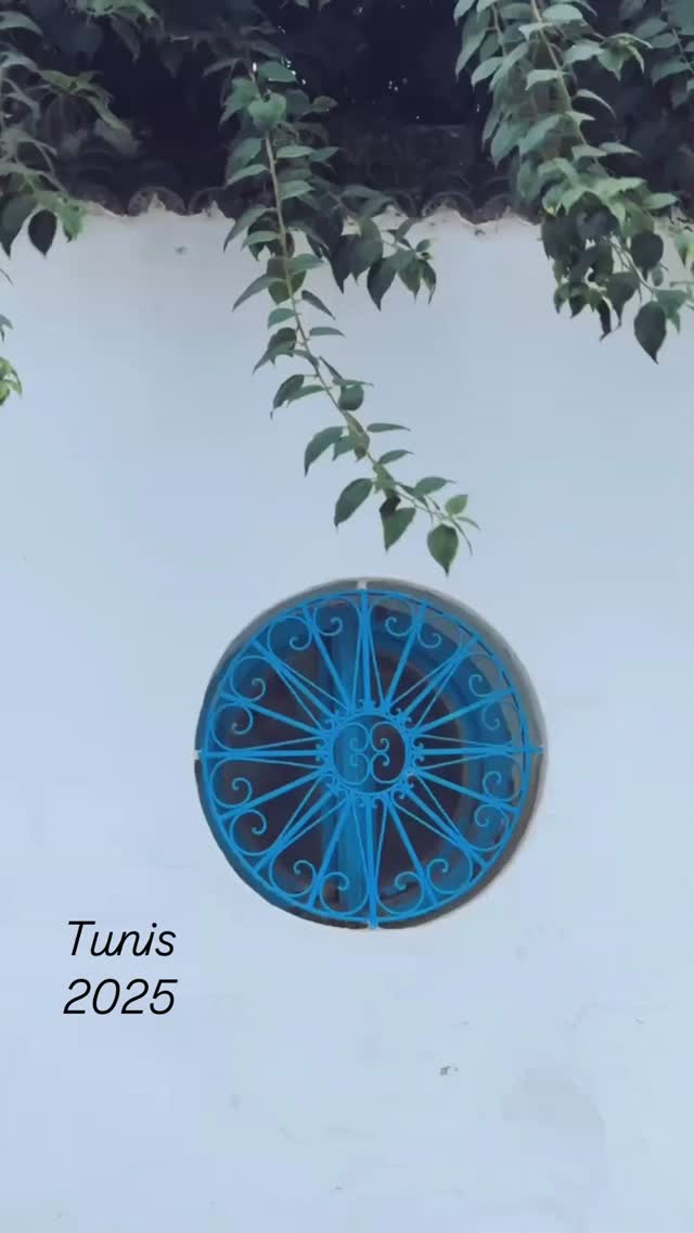  جدید ترین استوری اینستاگرام منصور ضابتیان