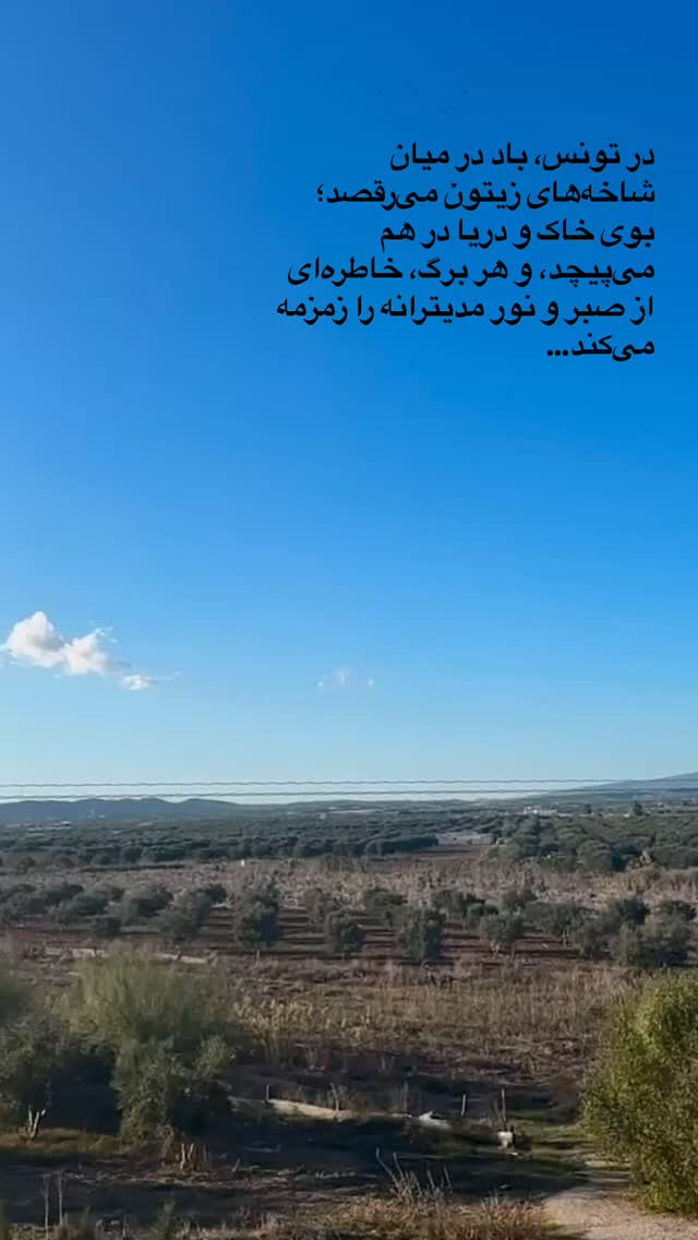  جدید ترین استوری اینستاگرام منصور ضابتیان