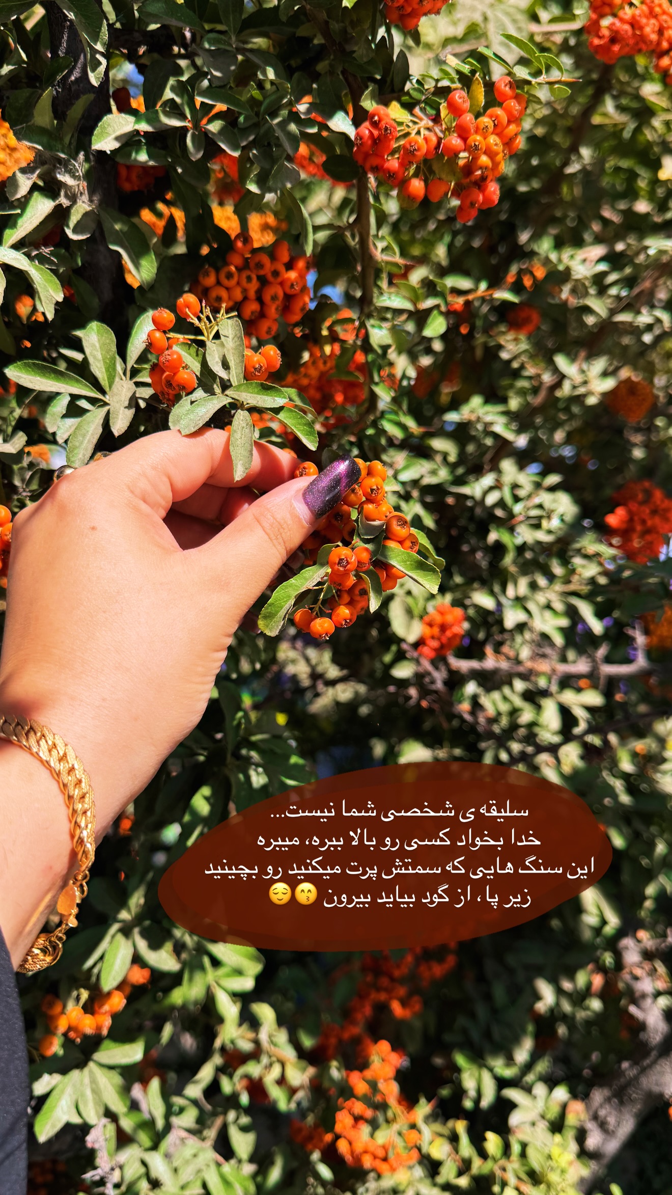  جدید ترین استوری اینستاگرام زهرا رسولی