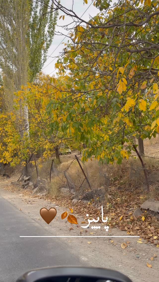  جدید ترین استوری اینستاگرام زهرا رسولی