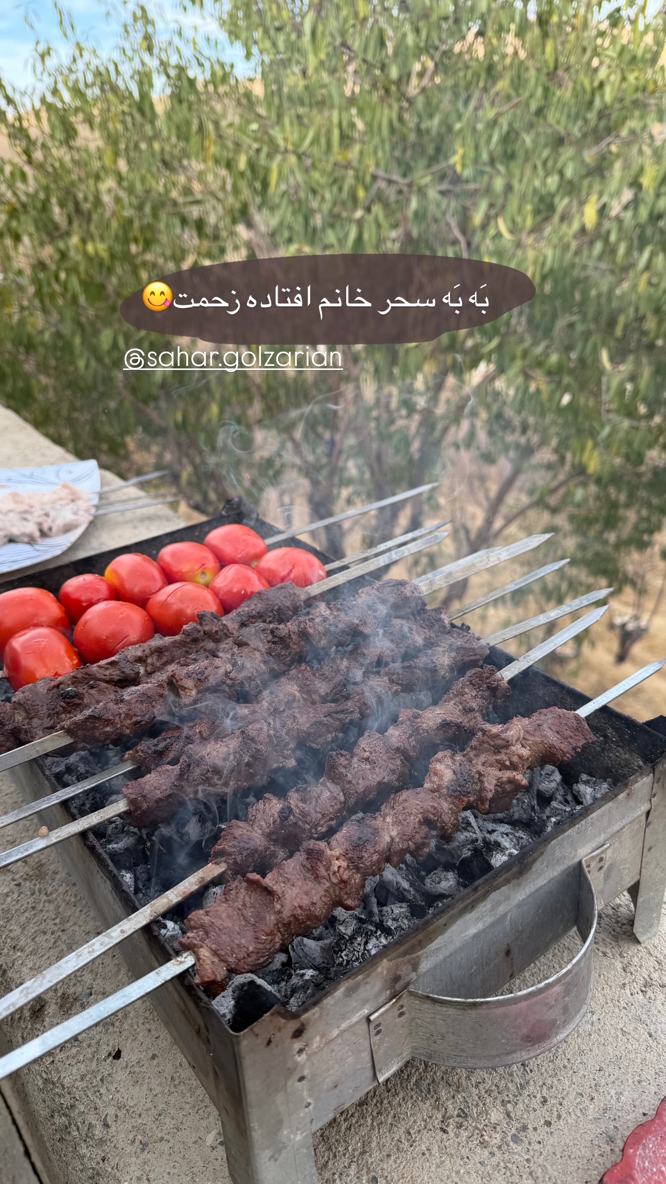  جدید ترین استوری اینستاگرام زهرا رسولی