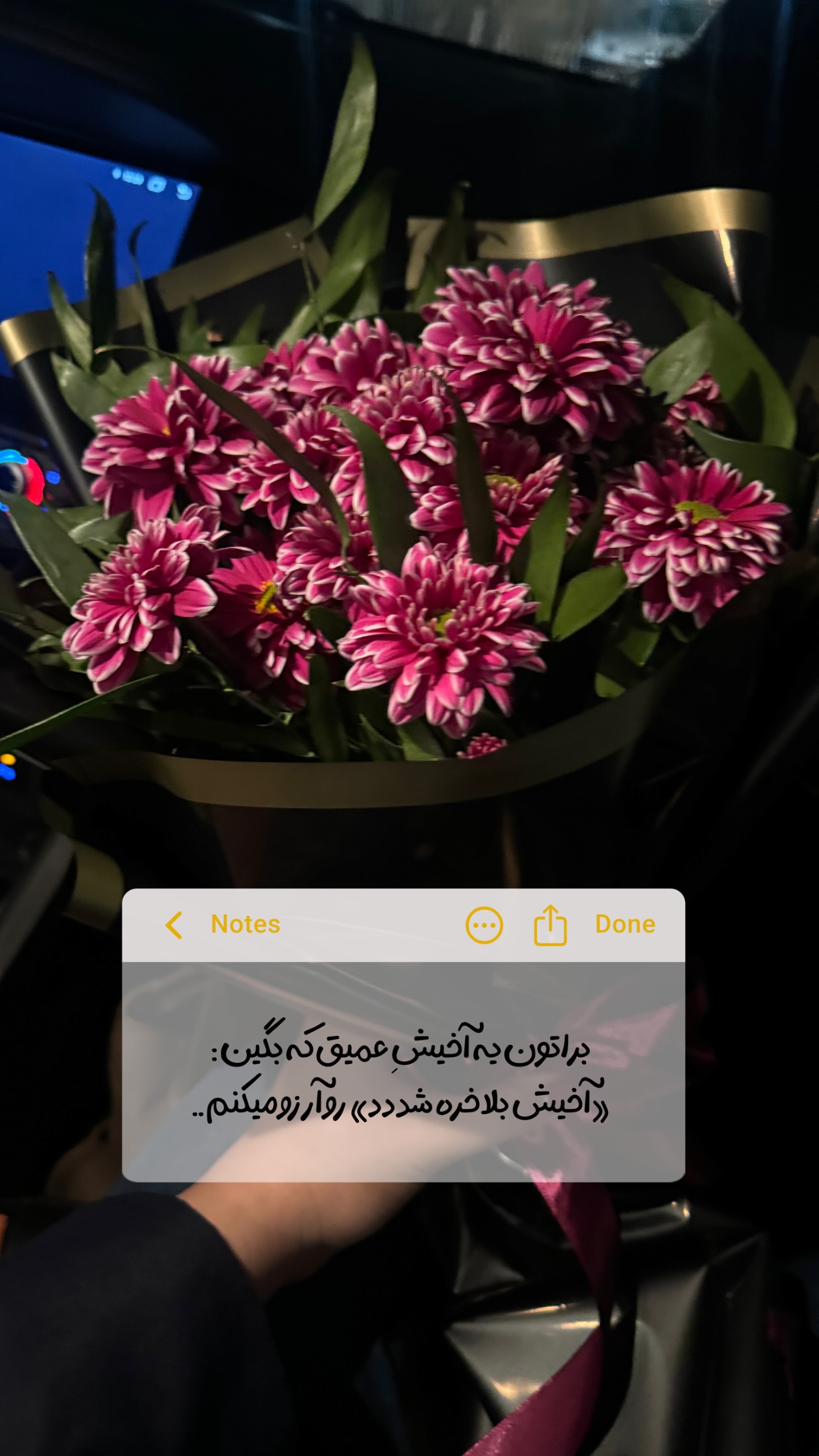  جدید ترین استوری اینستاگرام زهرا رسولی