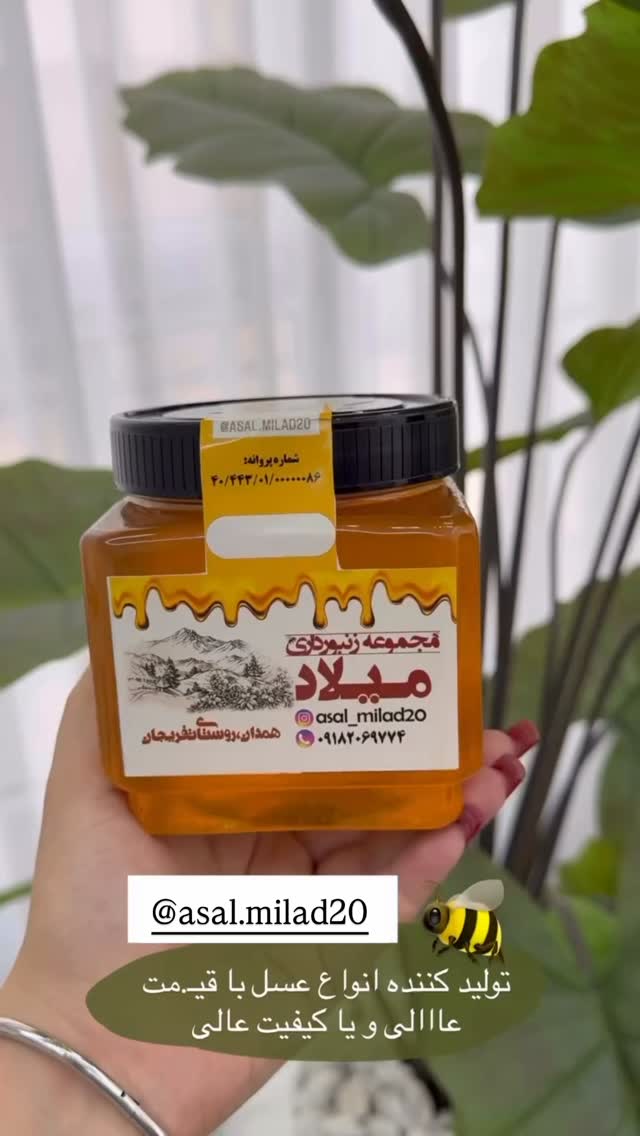  جدید ترین استوری اینستاگرام زهرا رسولی