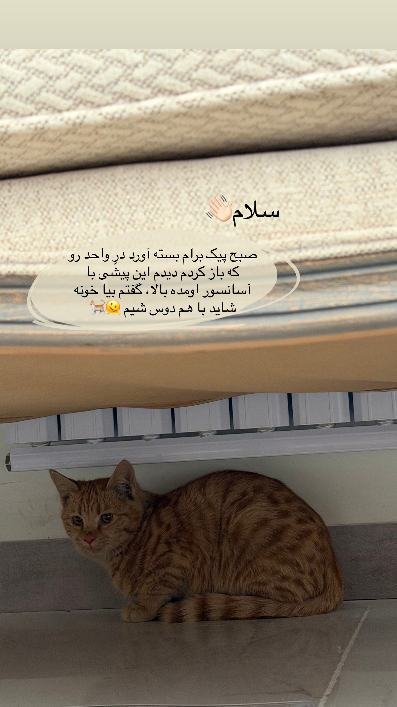 جدید ترین استوری اینستاگرام زهرا رسولی
