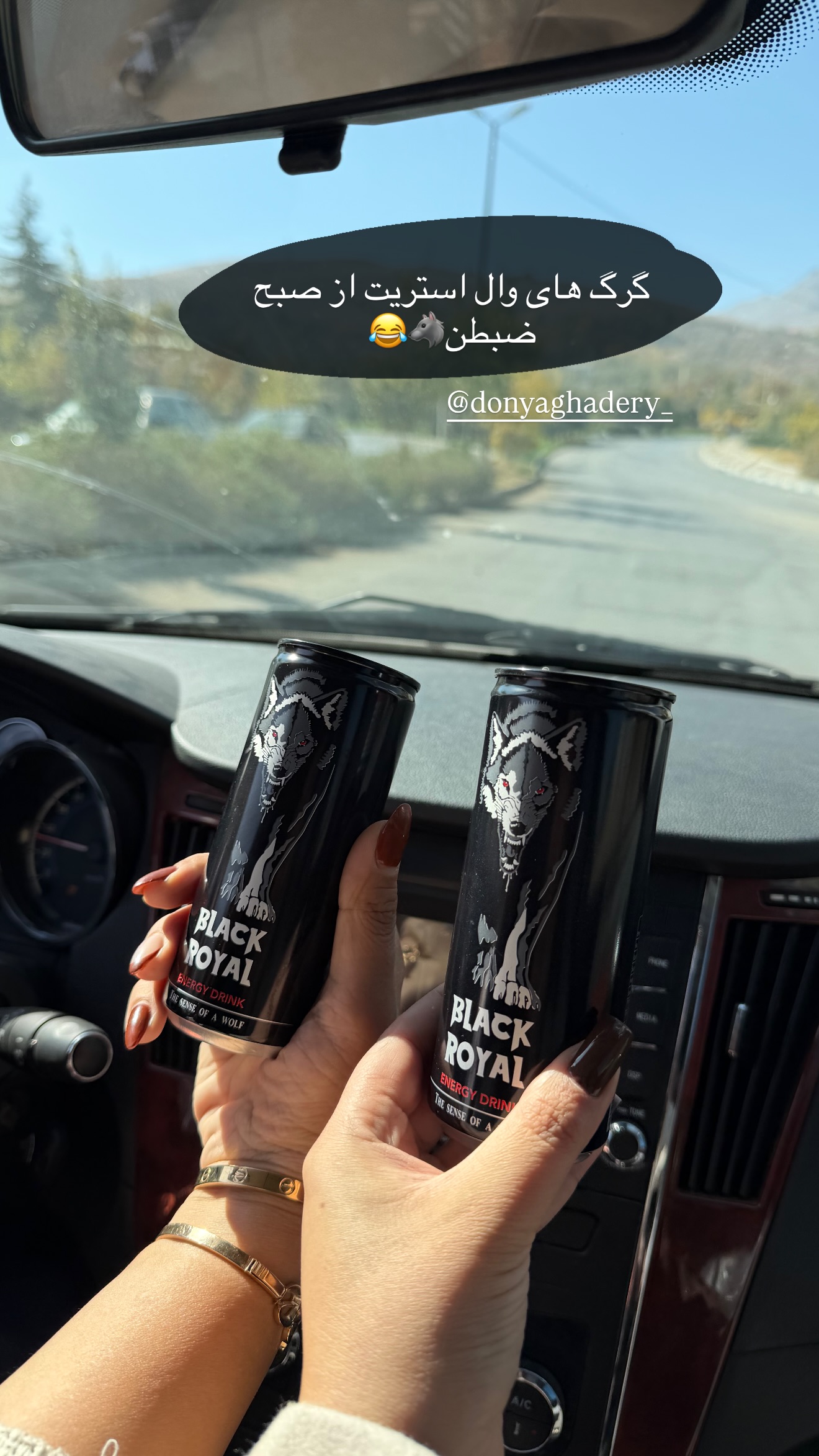  جدید ترین استوری اینستاگرام زهرا رسولی