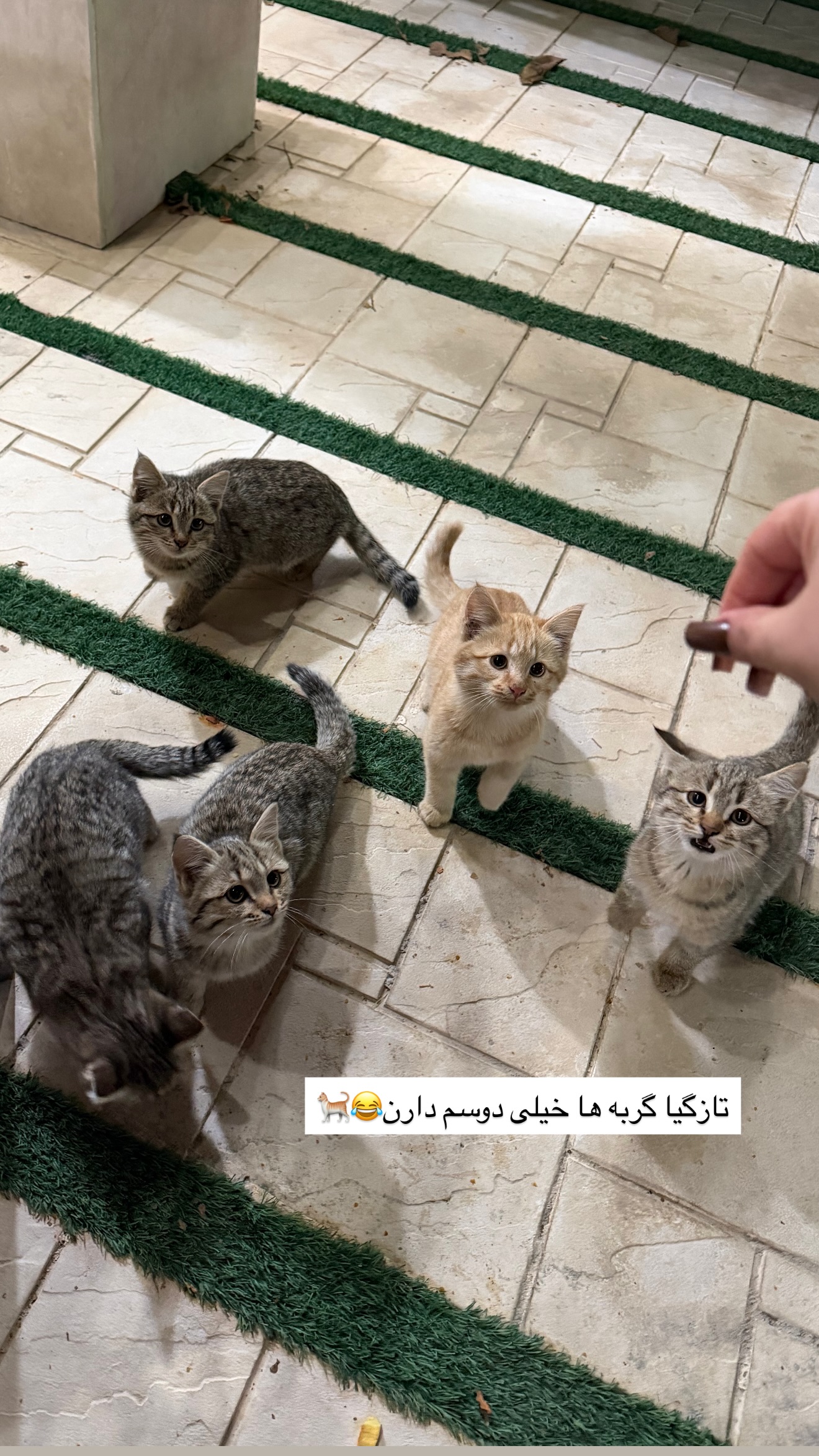  جدید ترین استوری اینستاگرام زهرا رسولی