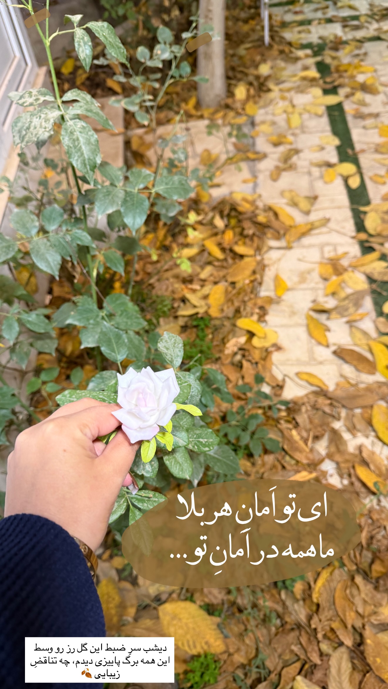  جدید ترین استوری اینستاگرام زهرا رسولی