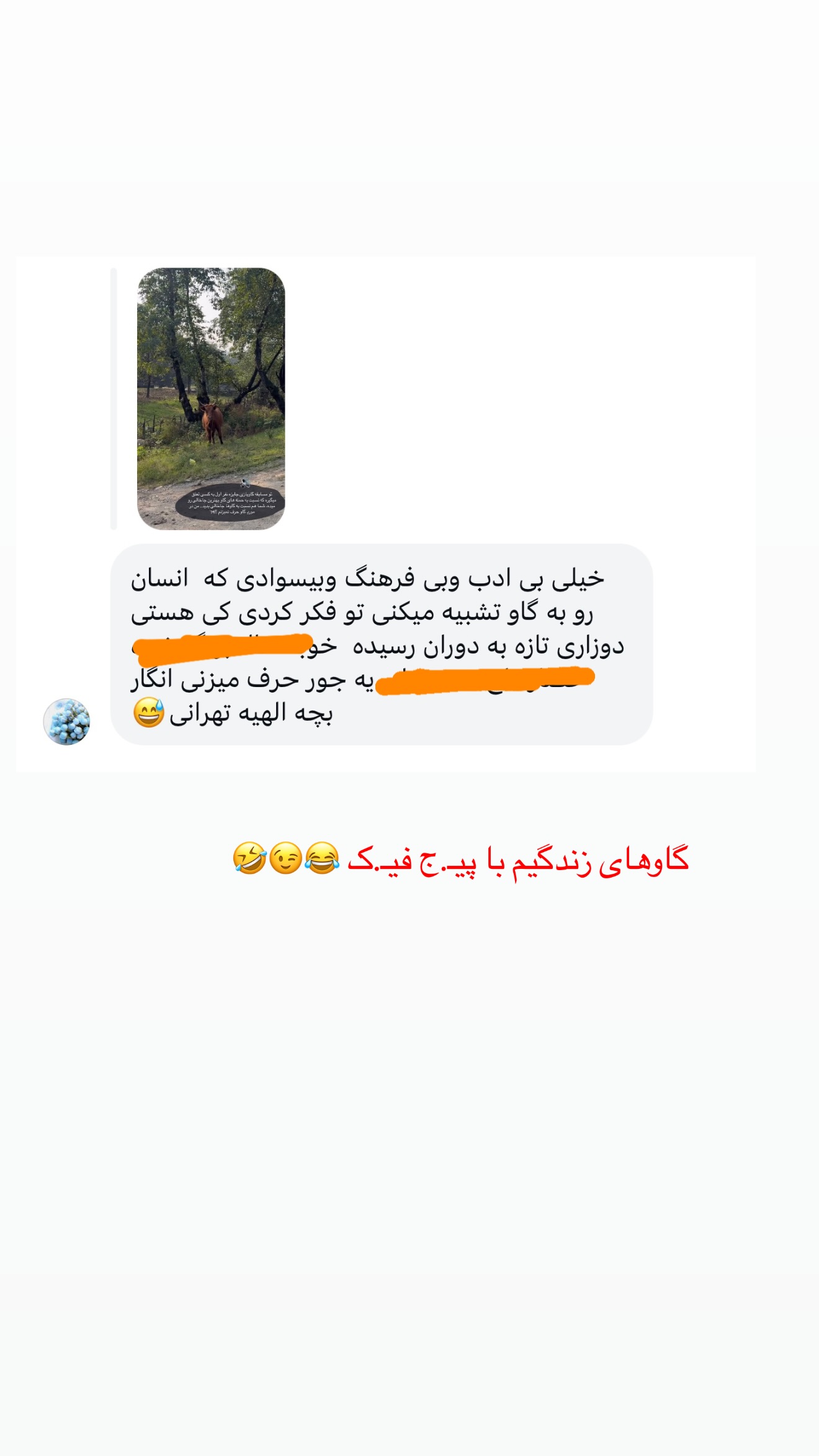  جدید ترین استوری اینستاگرام زهرا رسولی