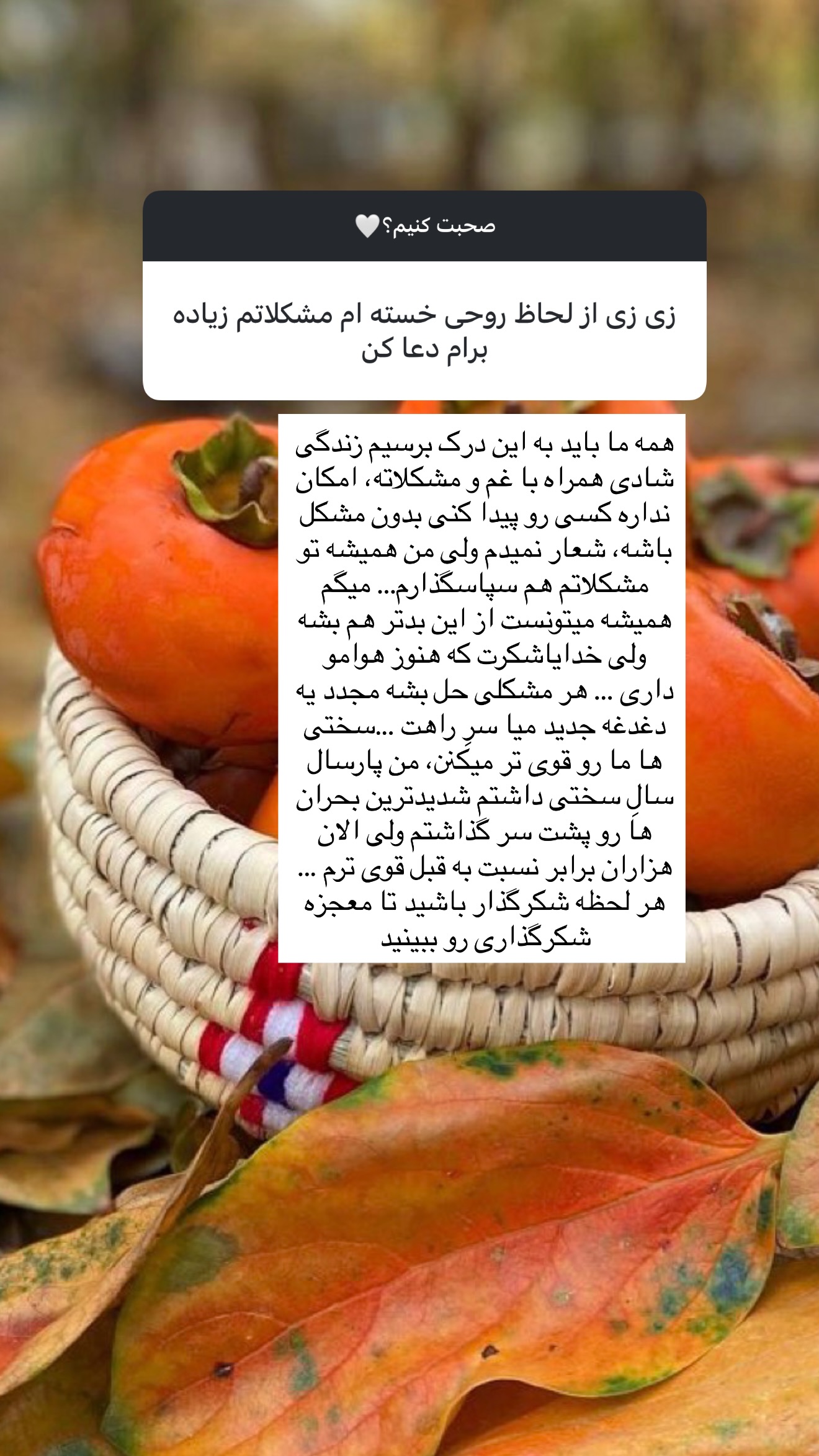  جدید ترین استوری اینستاگرام زهرا رسولی