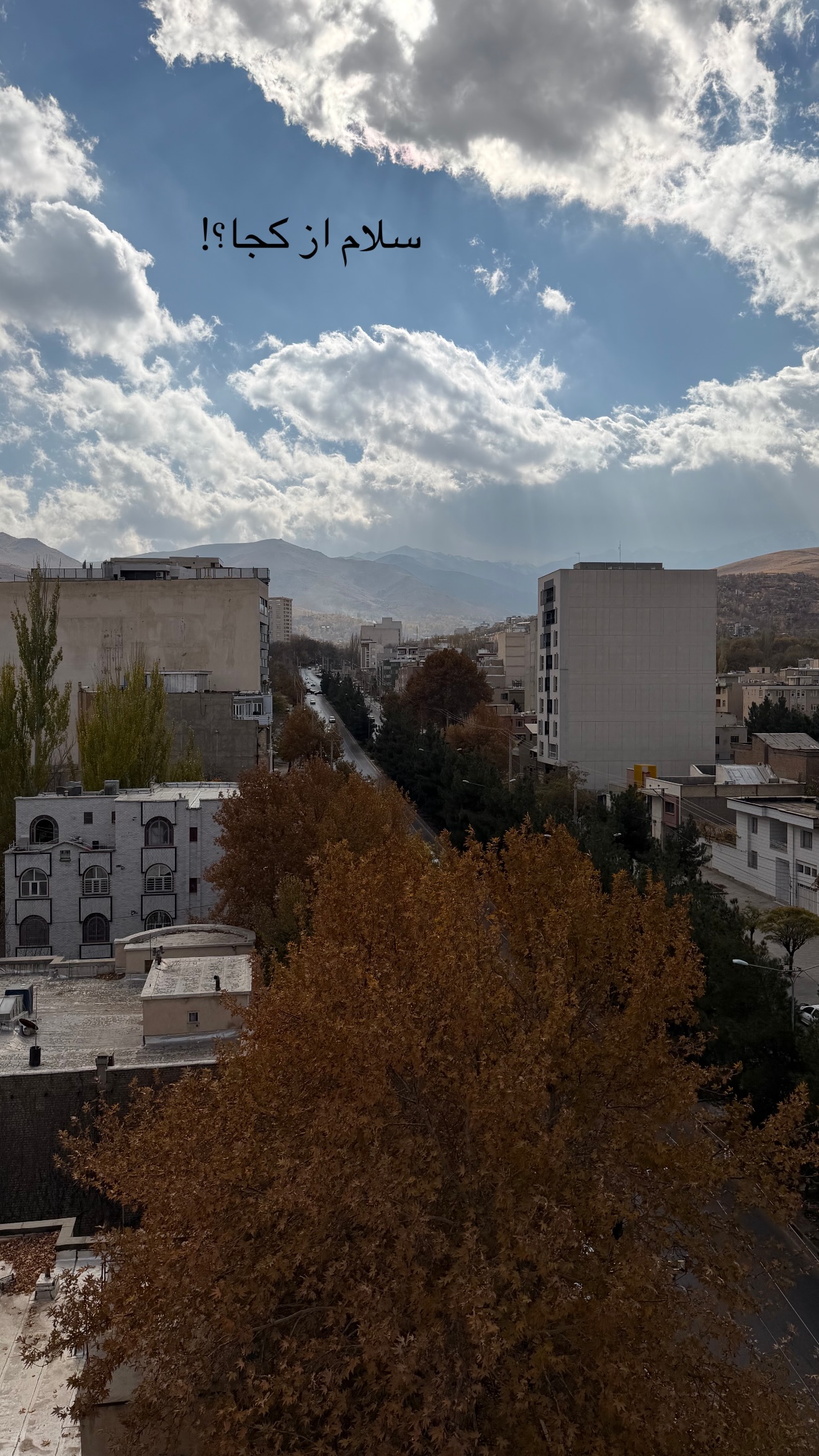 جدید ترین استوری اینستاگرام زهرا رسولی