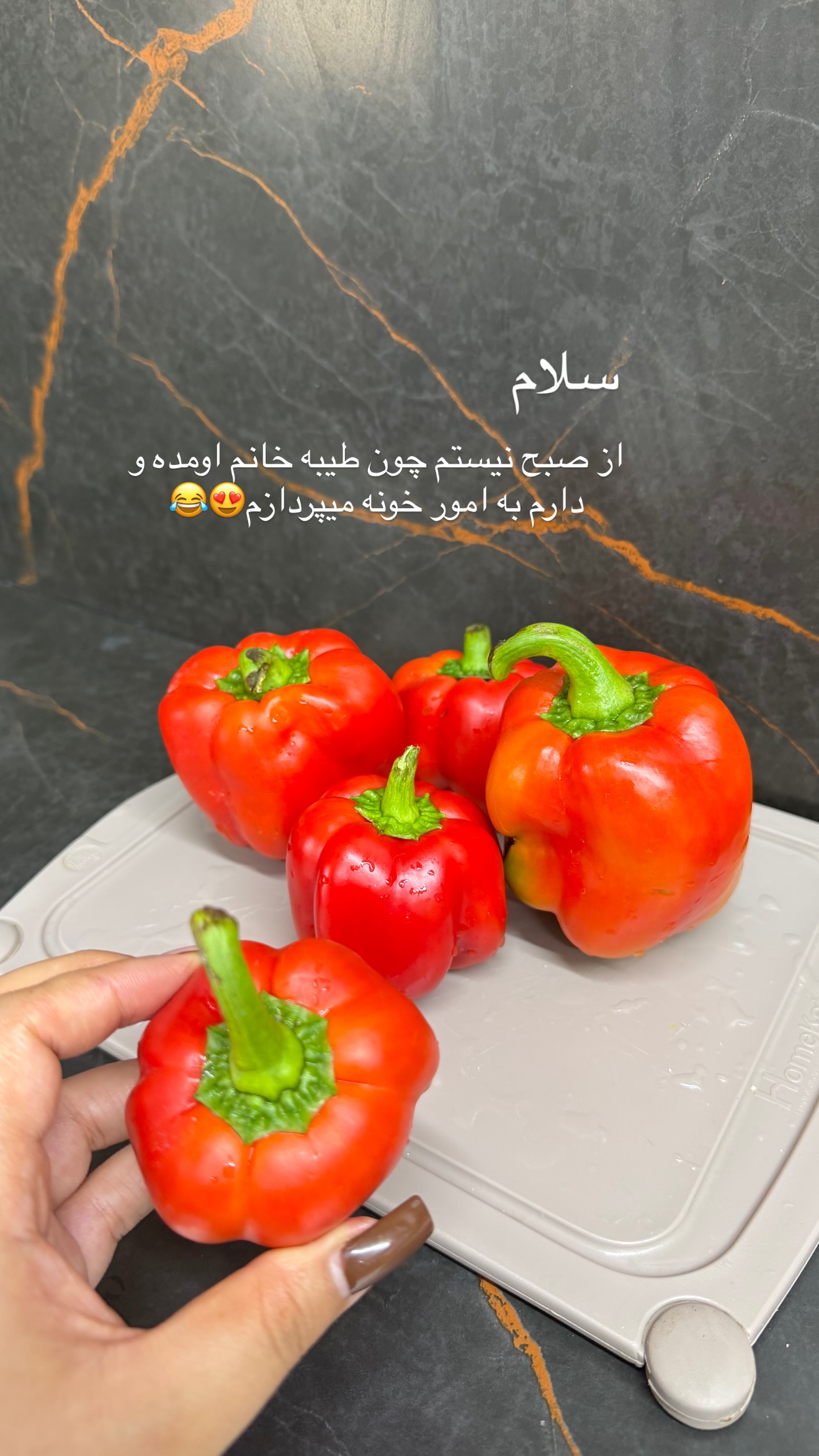  جدید ترین استوری اینستاگرام زهرا رسولی