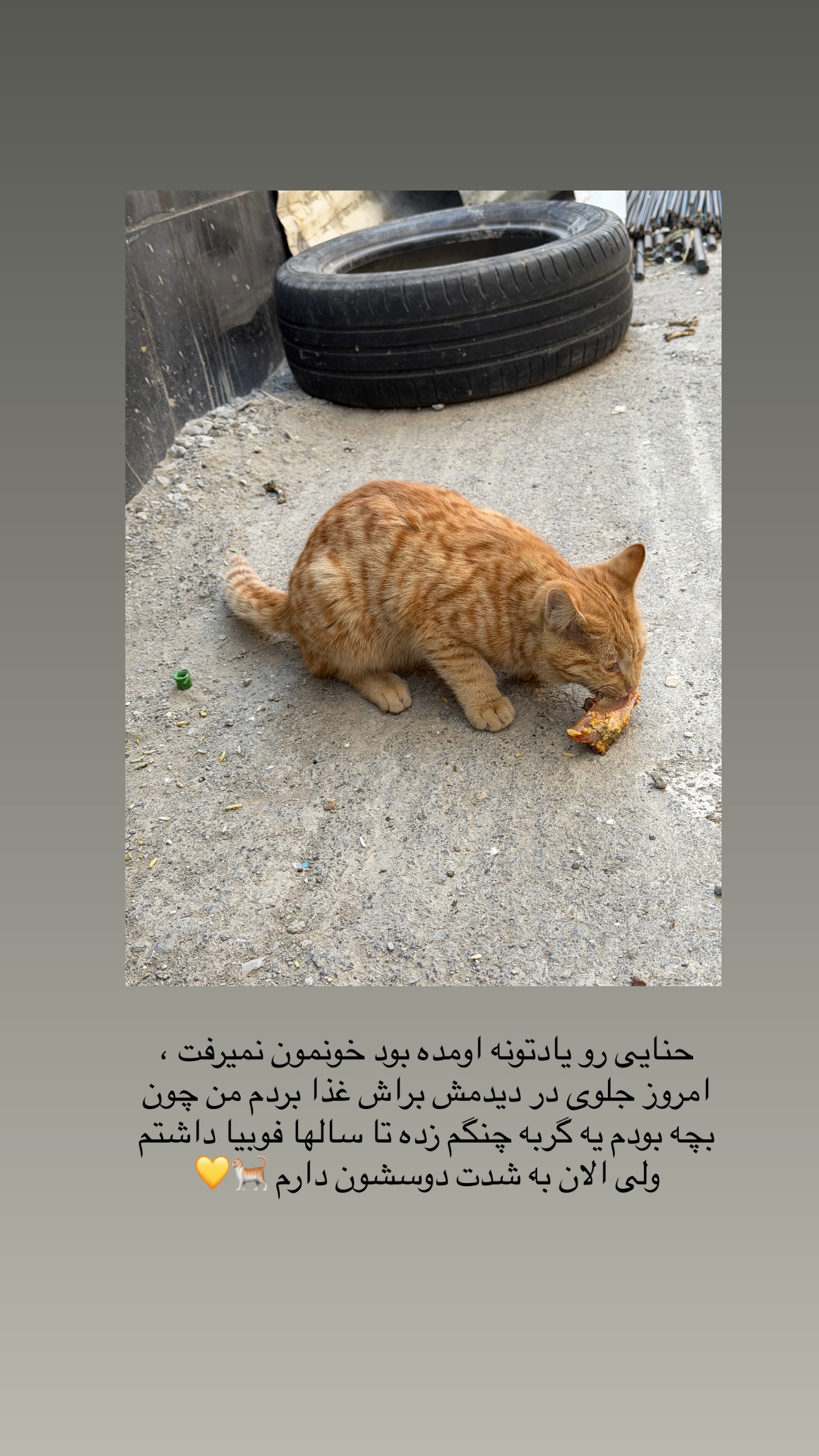  جدید ترین استوری اینستاگرام زهرا رسولی
