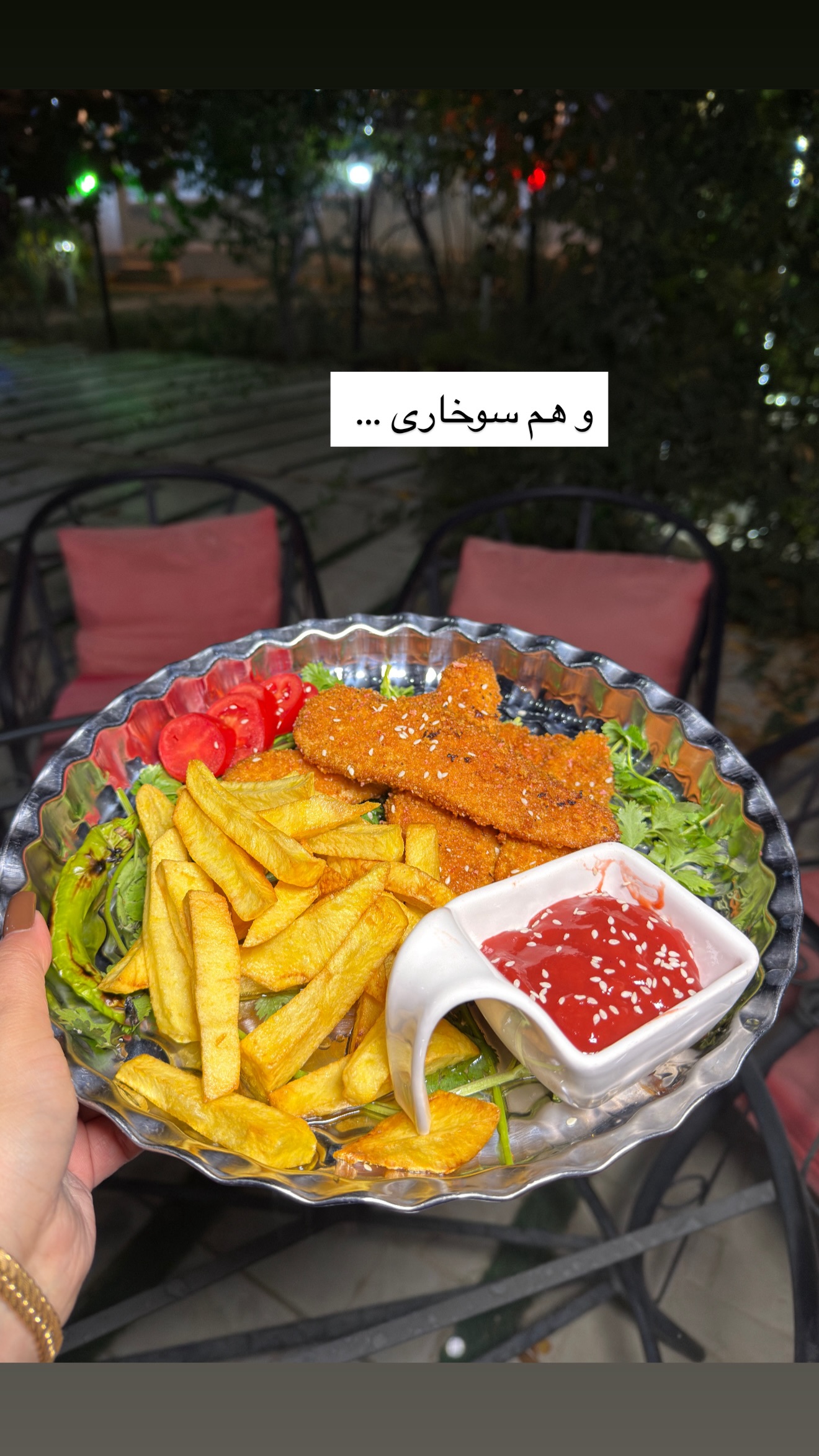  جدید ترین استوری اینستاگرام زهرا رسولی