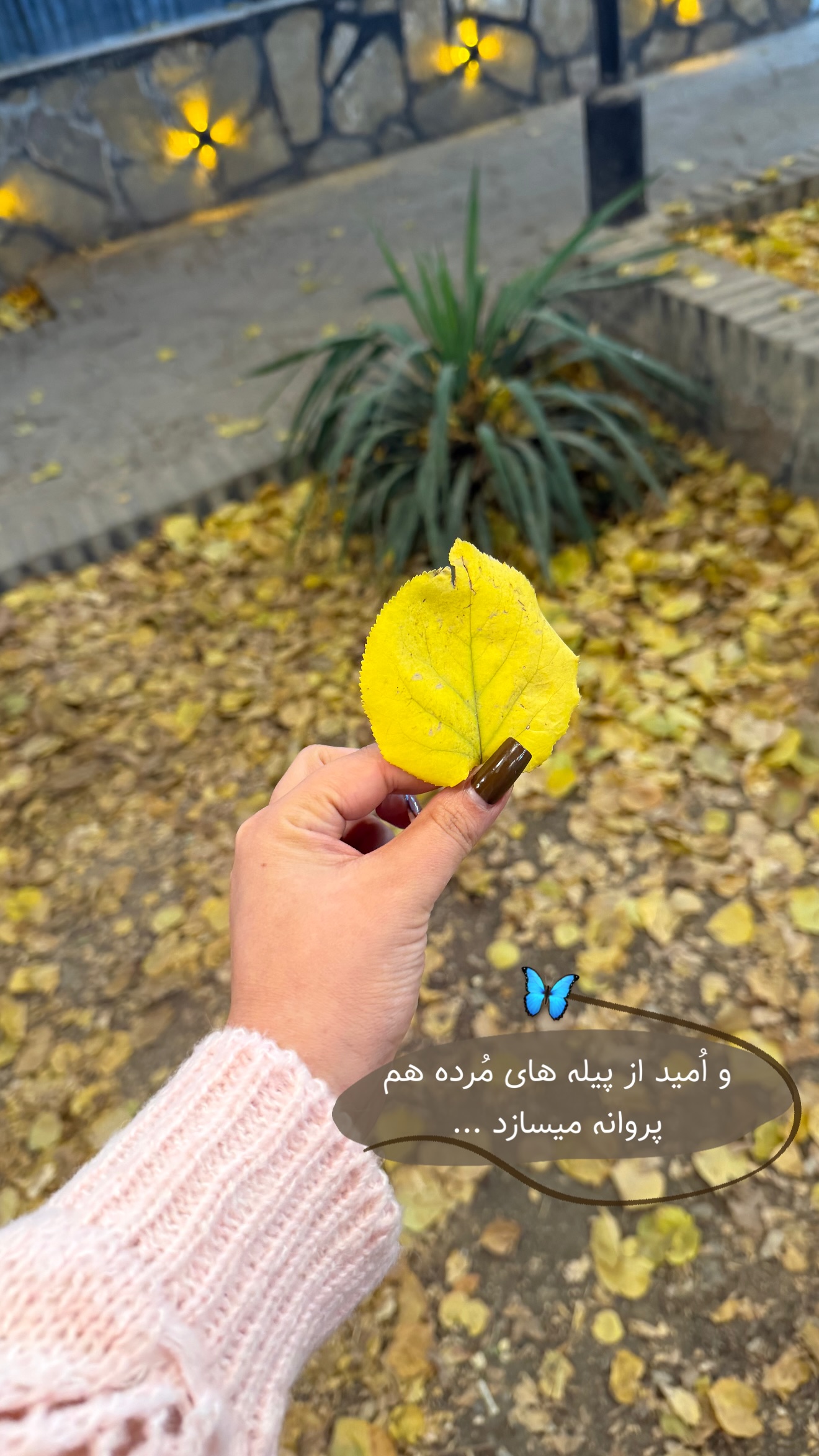  جدید ترین استوری اینستاگرام زهرا رسولی