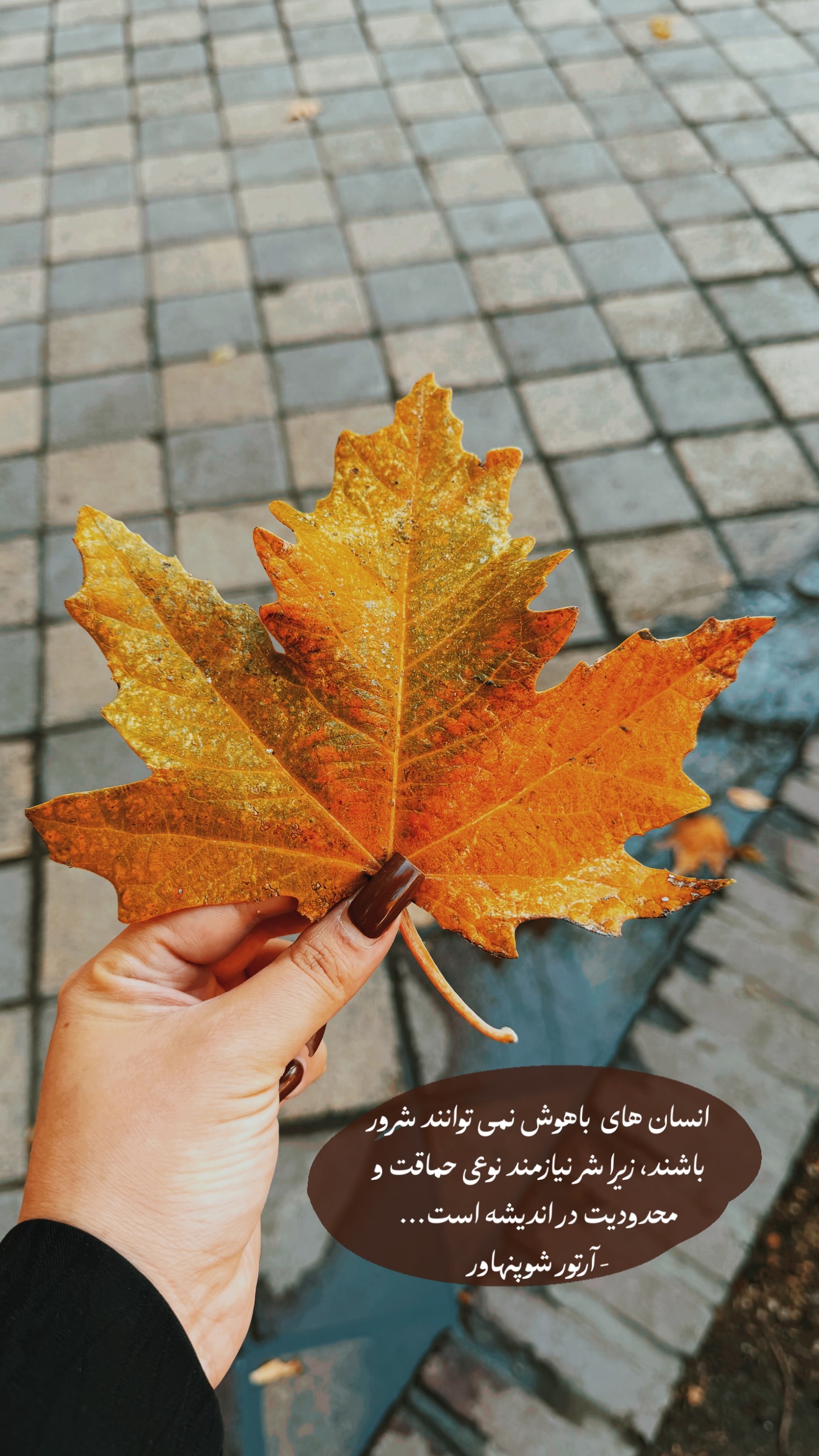  جدید ترین استوری اینستاگرام زهرا رسولی