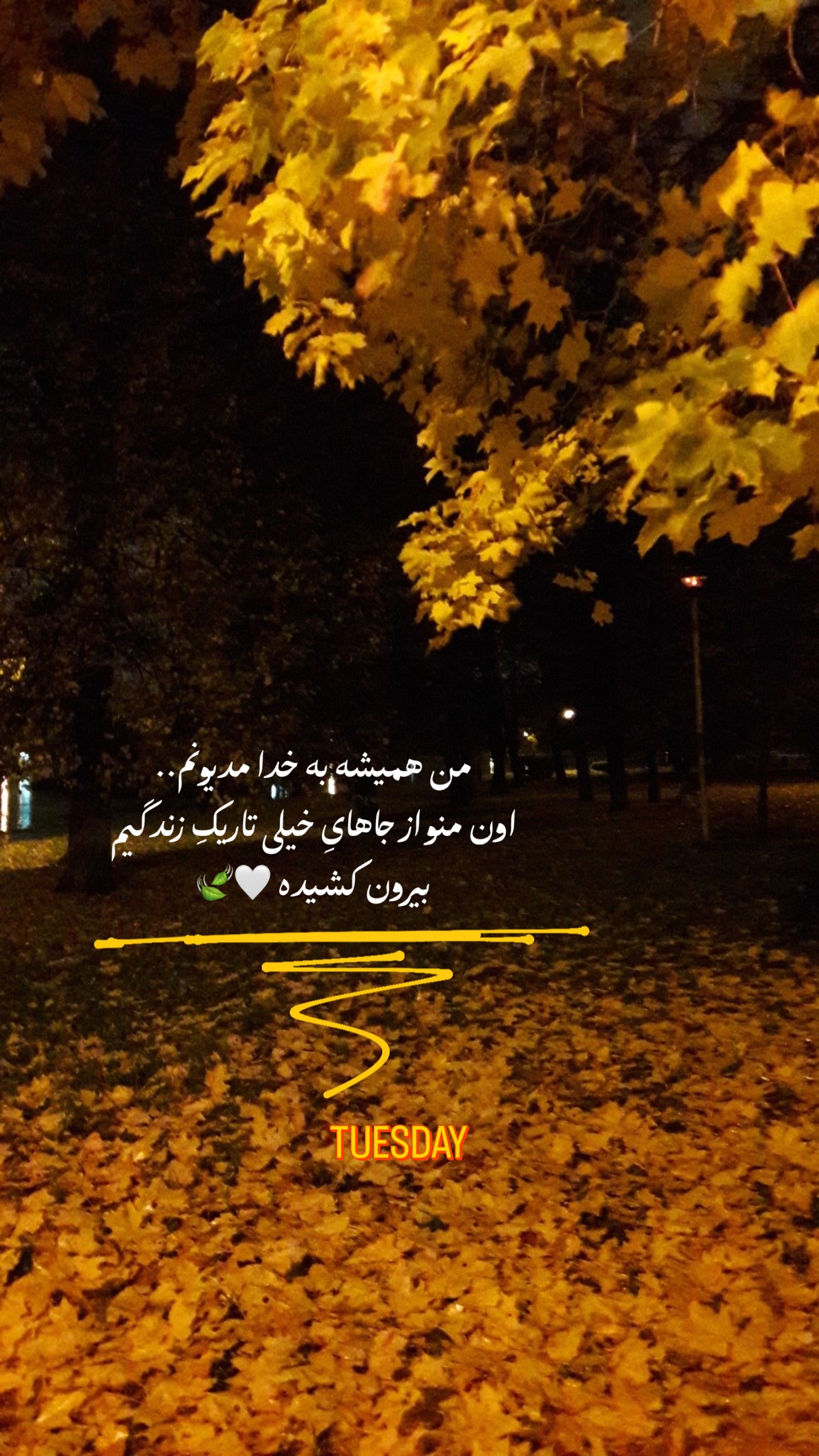  جدید ترین استوری اینستاگرام زهرا رسولی