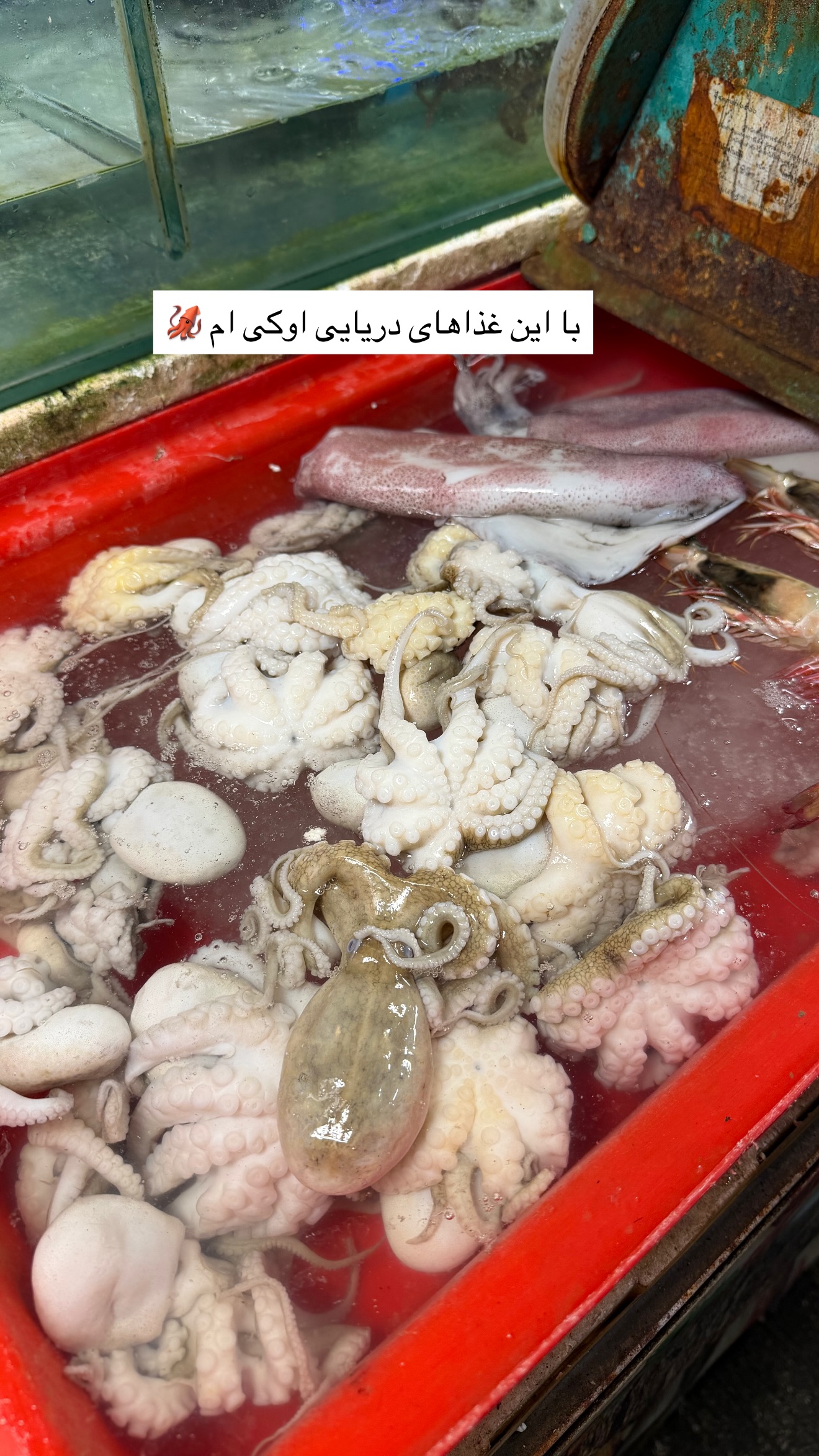  جدید ترین استوری اینستاگرام زهرا رسولی