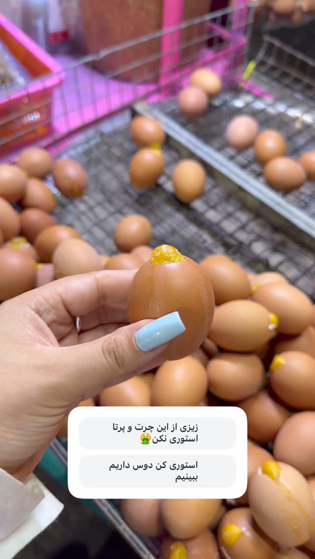  جدید ترین استوری اینستاگرام زهرا رسولی