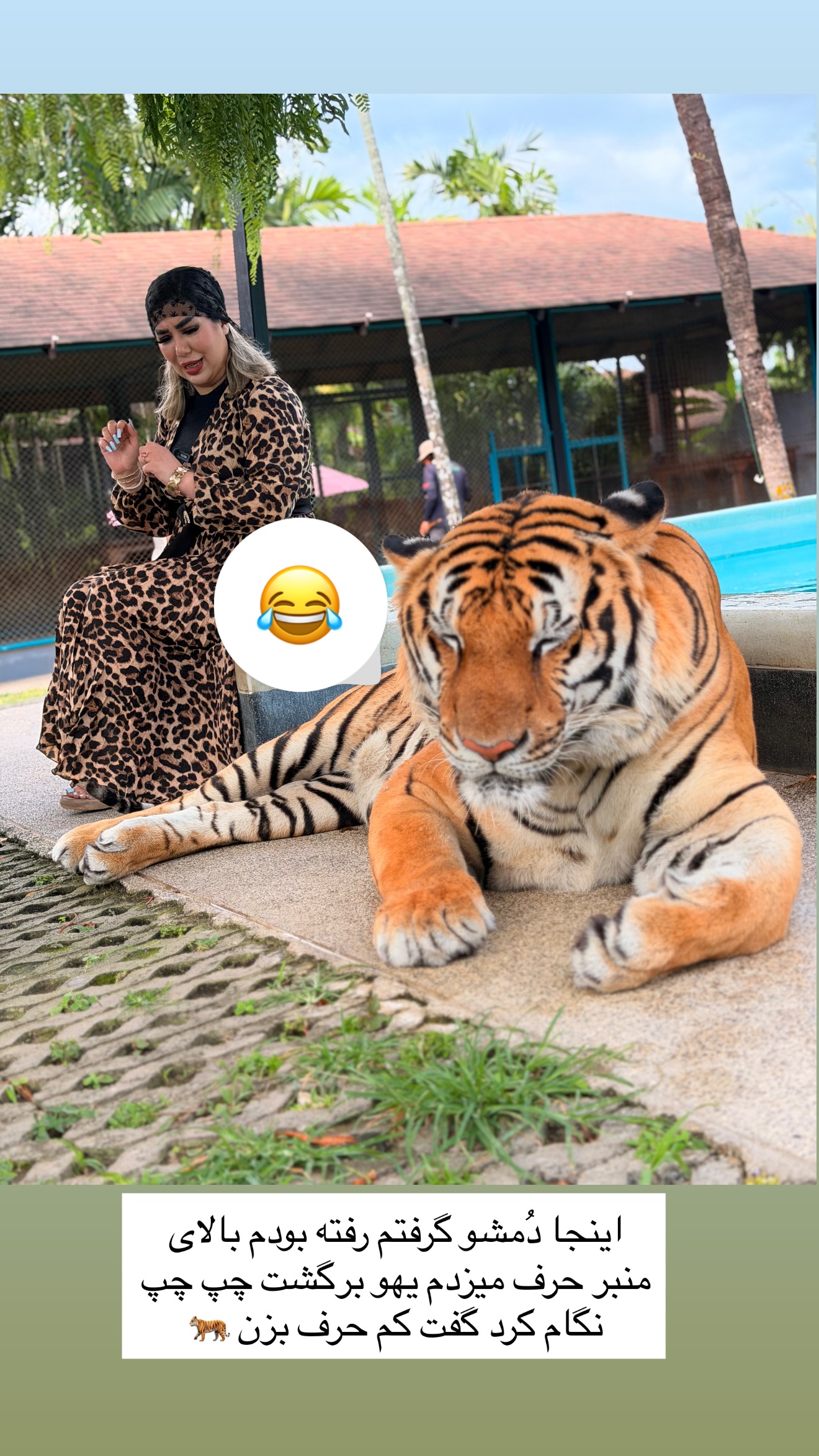  جدید ترین استوری اینستاگرام زهرا رسولی
