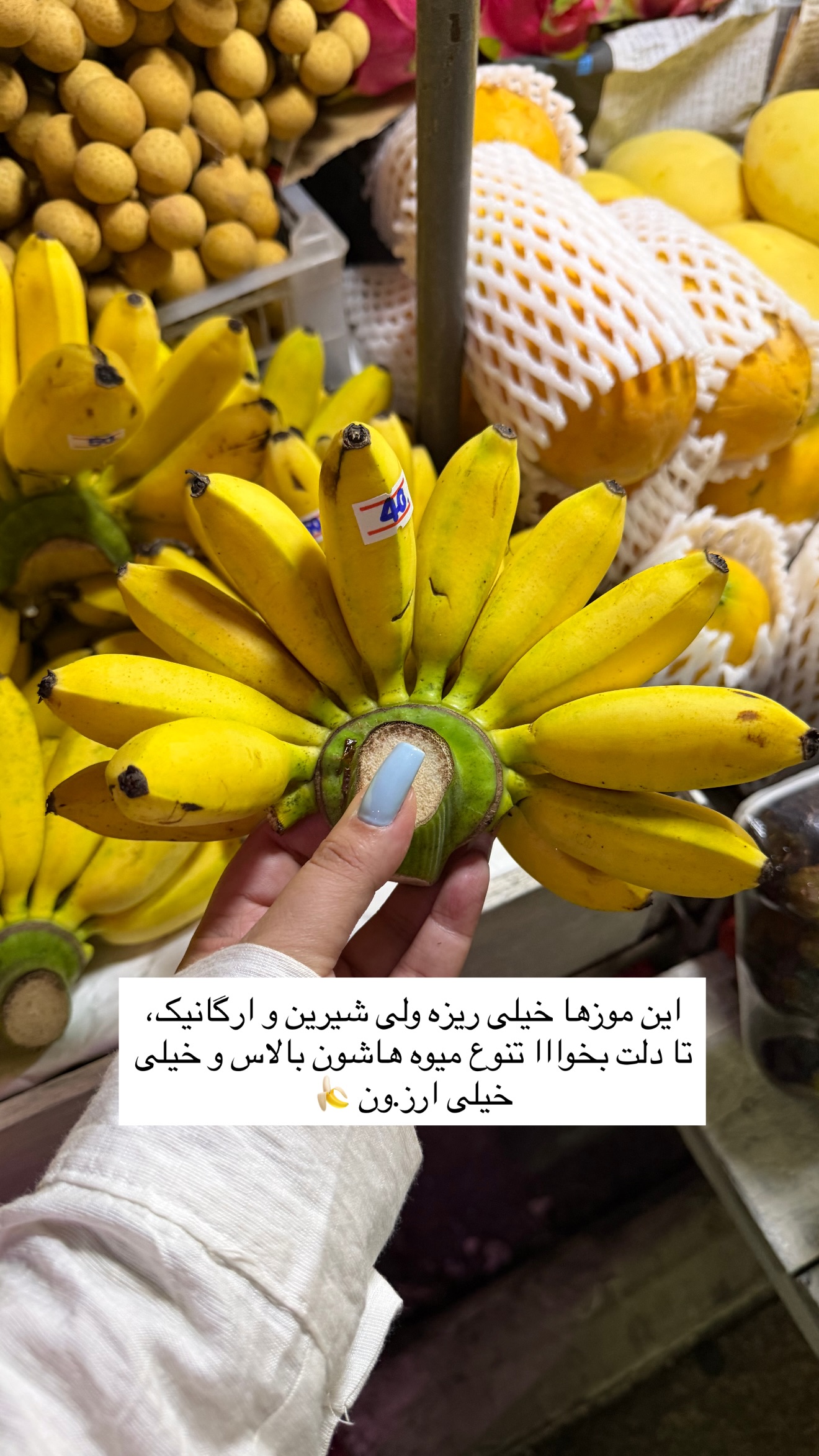  جدید ترین استوری اینستاگرام زهرا رسولی