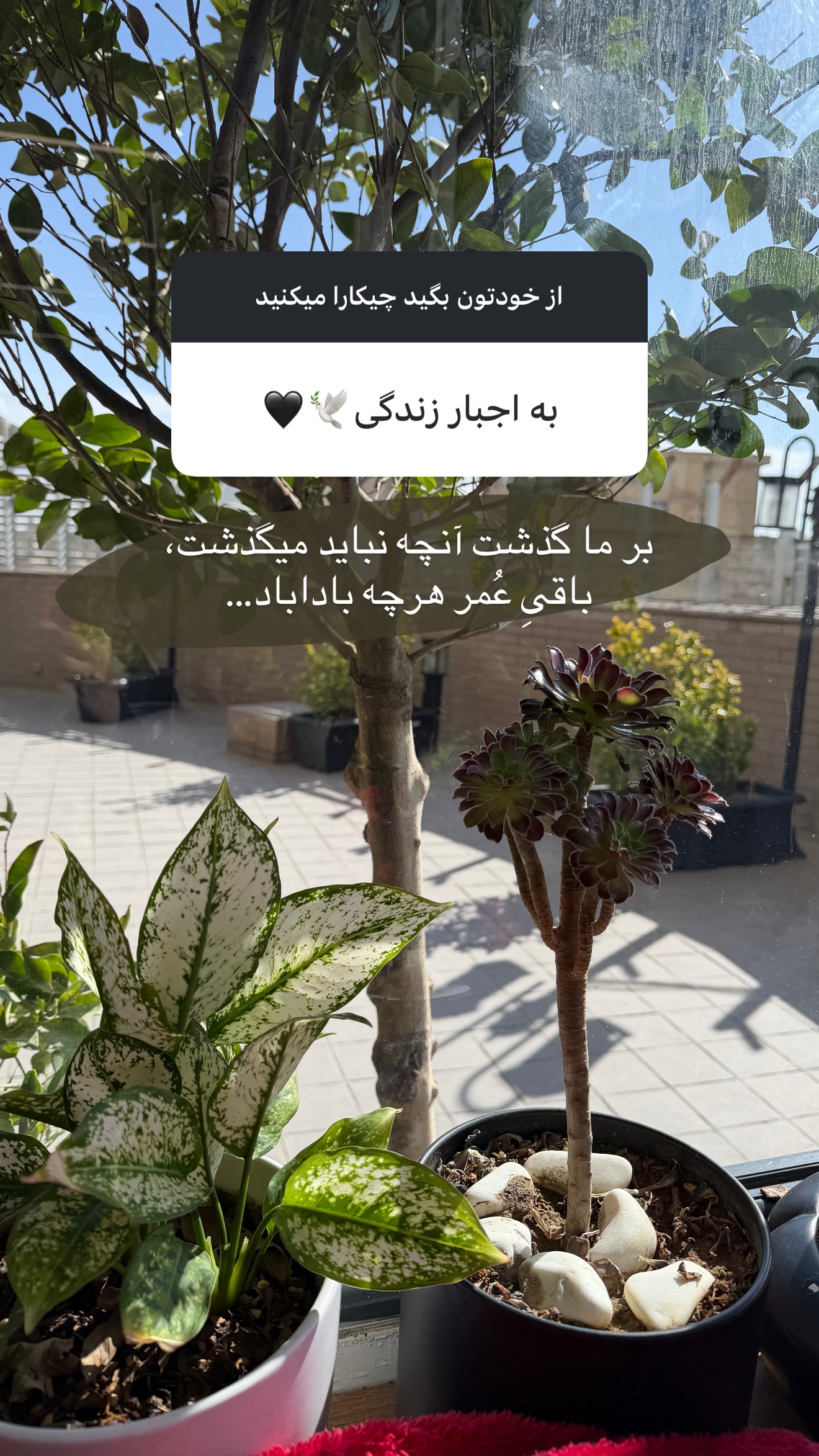  جدید ترین استوری اینستاگرام زهرا رسولی