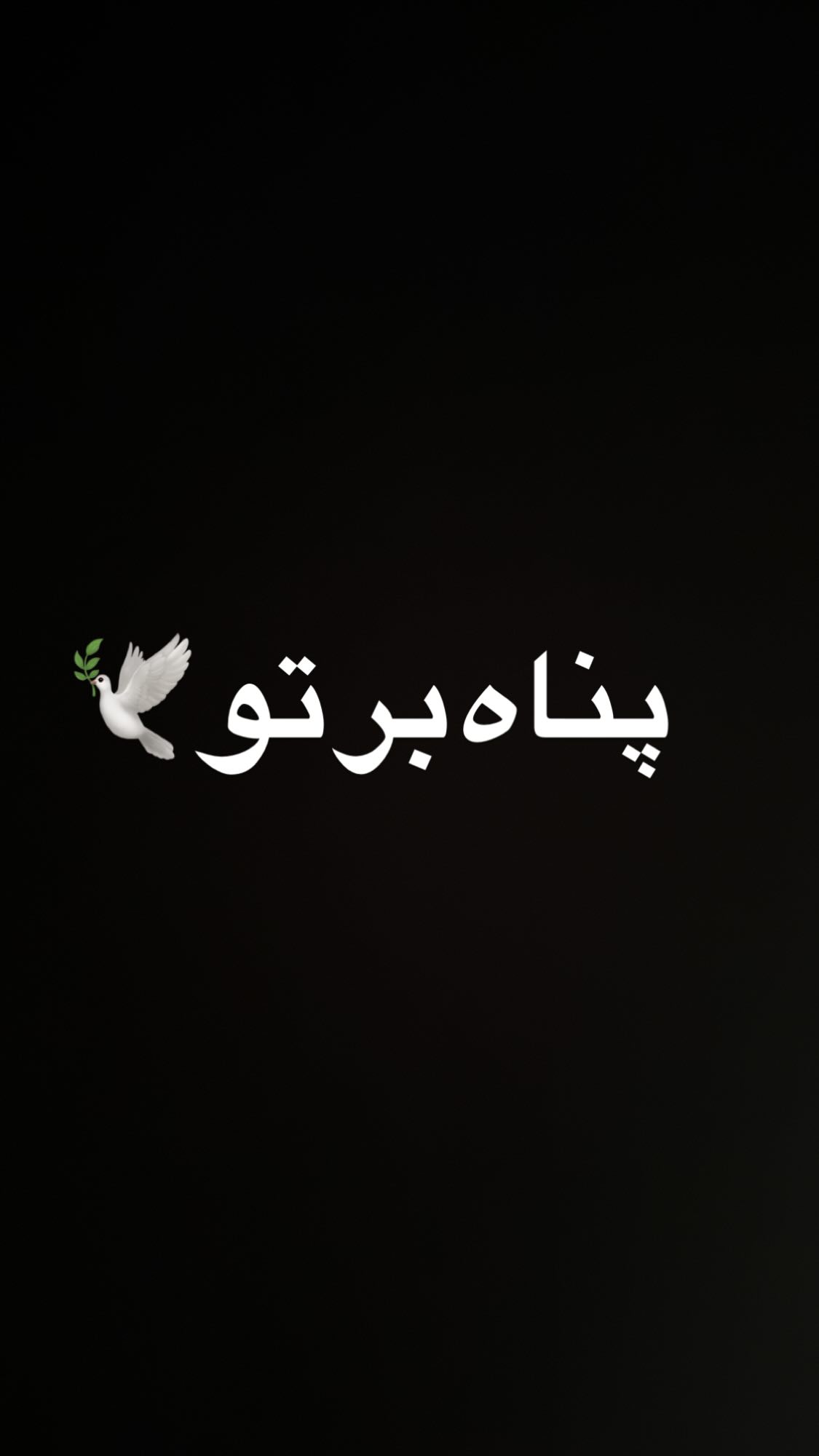  جدید ترین استوری اینستاگرام مارال بنی آدم