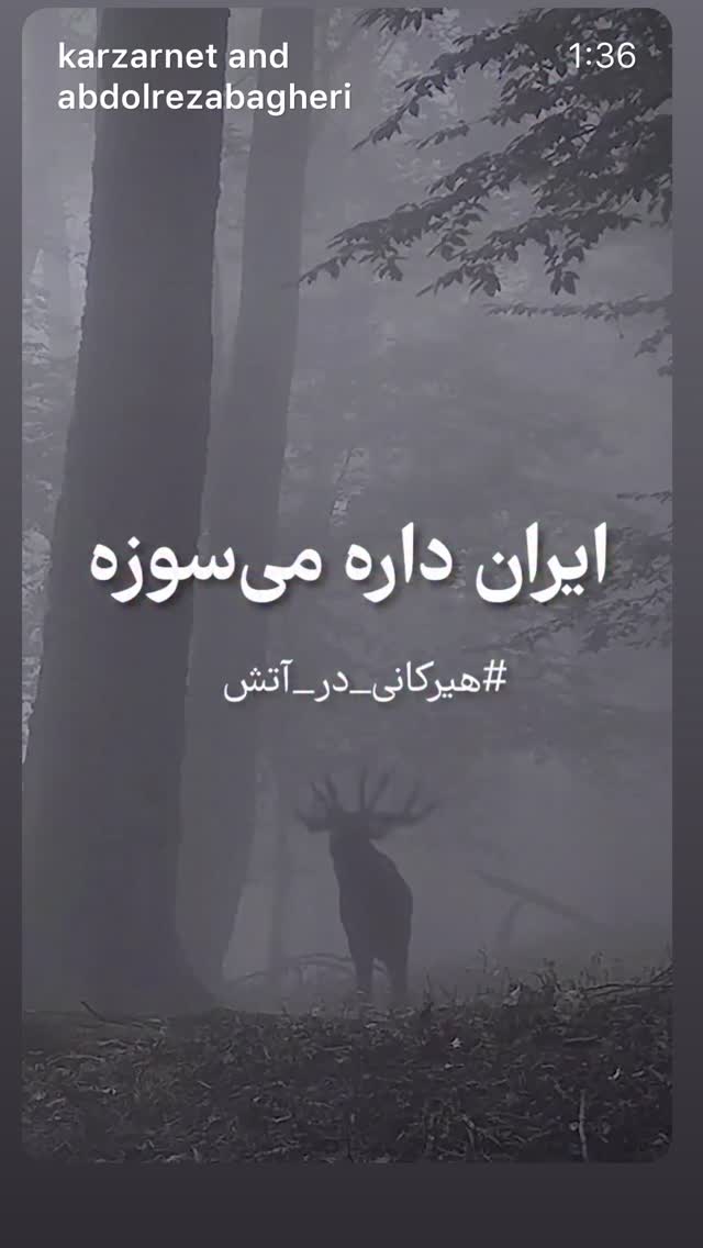  جدید ترین استوری اینستاگرام مارال بنی آدم