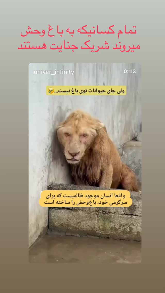  جدید ترین استوری اینستاگرام مارال بنی آدم